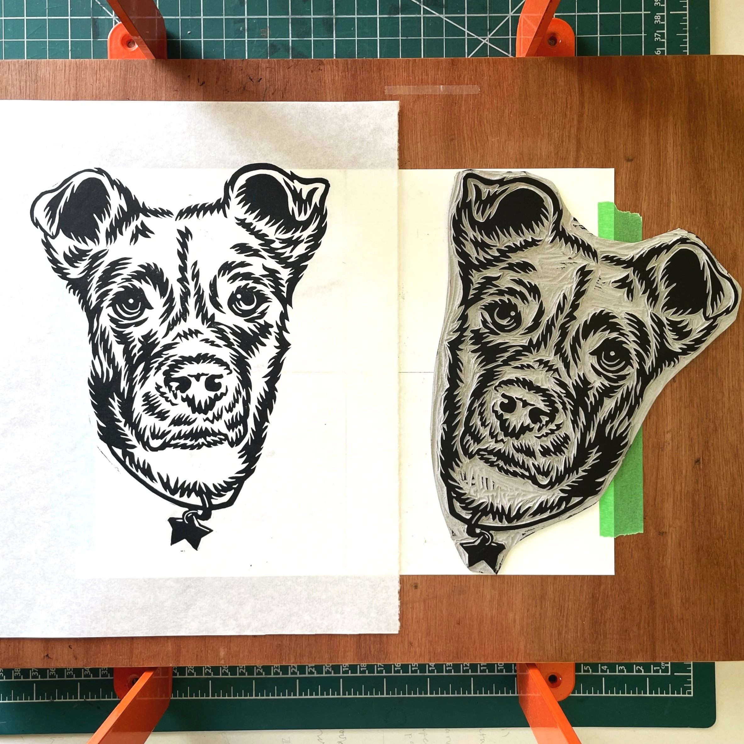 IMG_9169.jpg