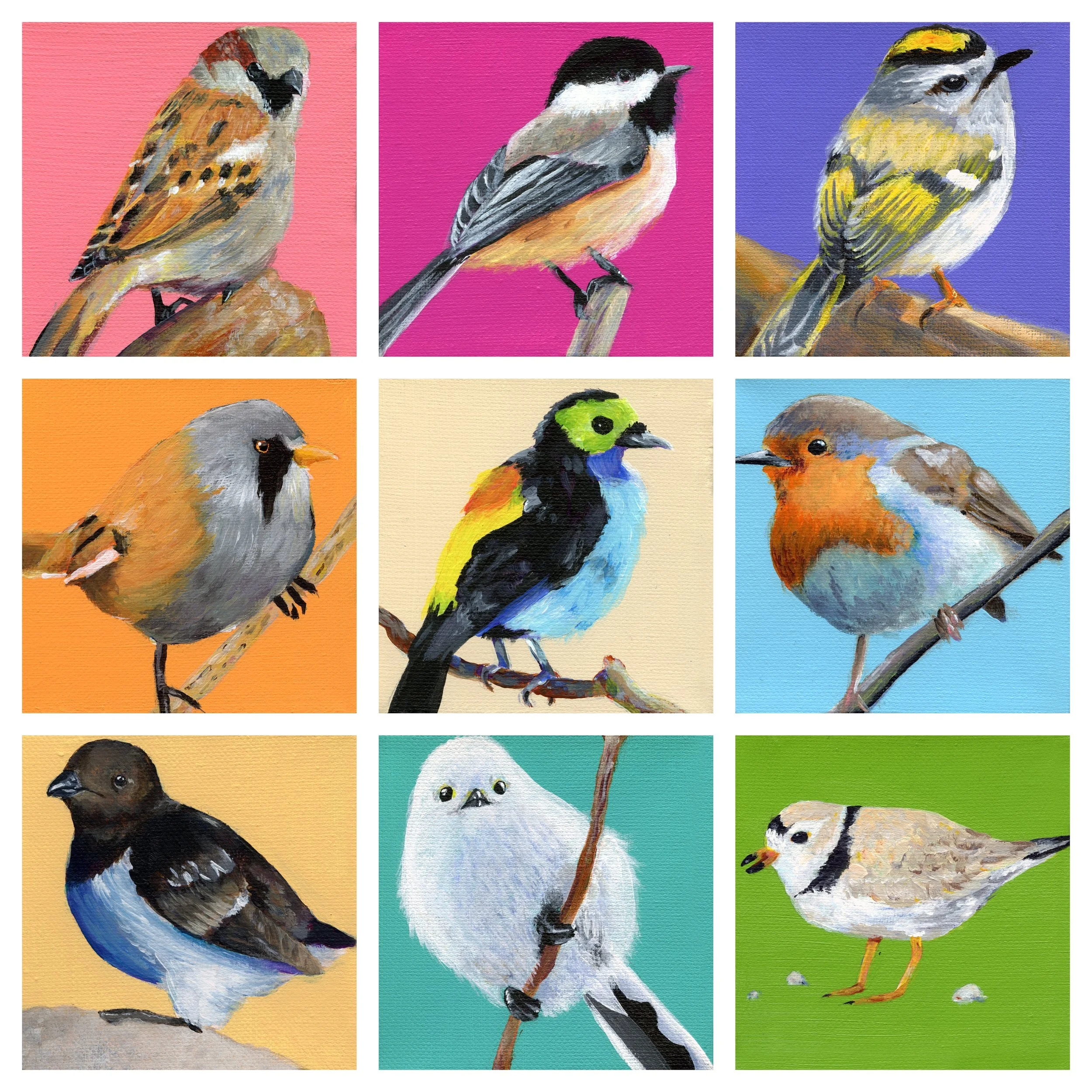 Fat Bird Studies - Print