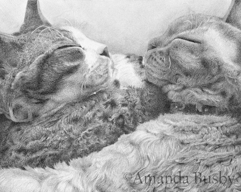 "Zoey and Bubs" by Amanda Busby. 2026. Graphite on Paper. 8" x 10"