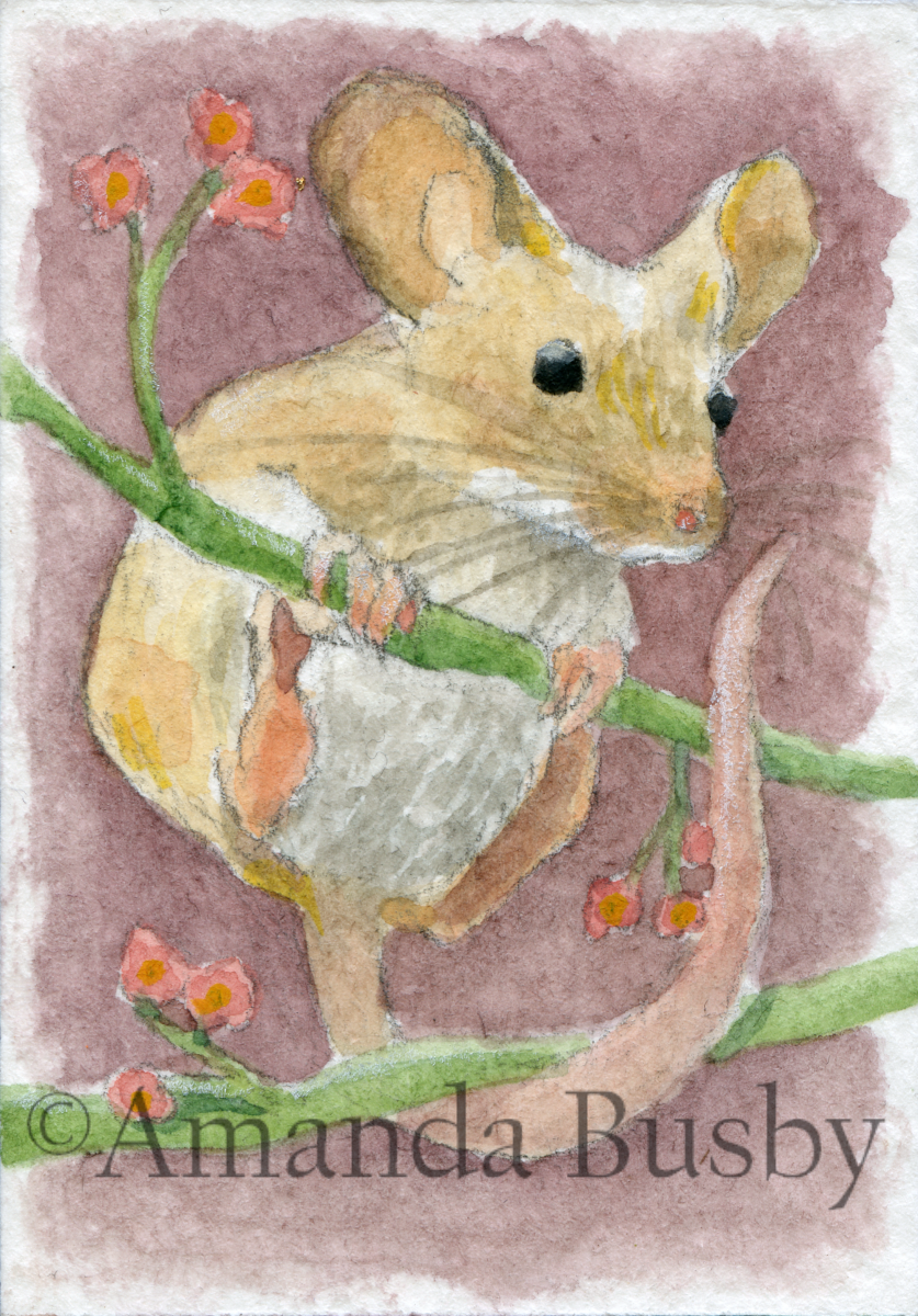 "Field Mouse Study" by Amanda Busby. 2021. Watercolour on Watercolour Paper. 1" x 2.5" (Sold)