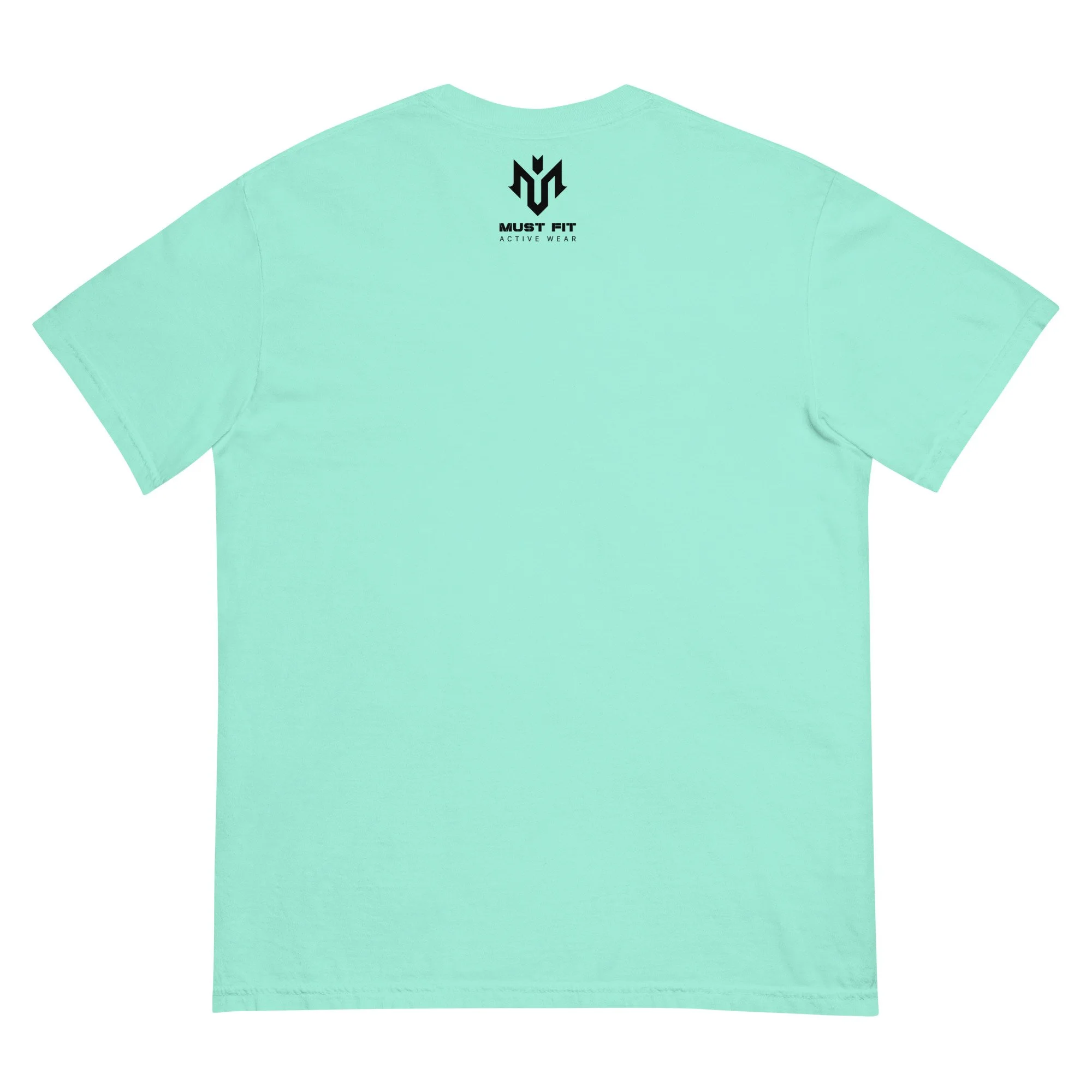 unisex-garment-dyed-heavyweight-t-shirt-chalky-mint-back-68191286f3598.jpg