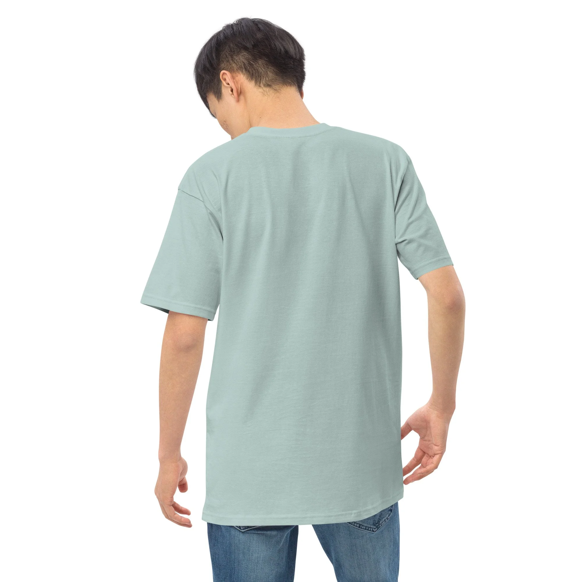 mens-premium-heavyweight-tee-agave-back-2-687ca4508438a.jpg