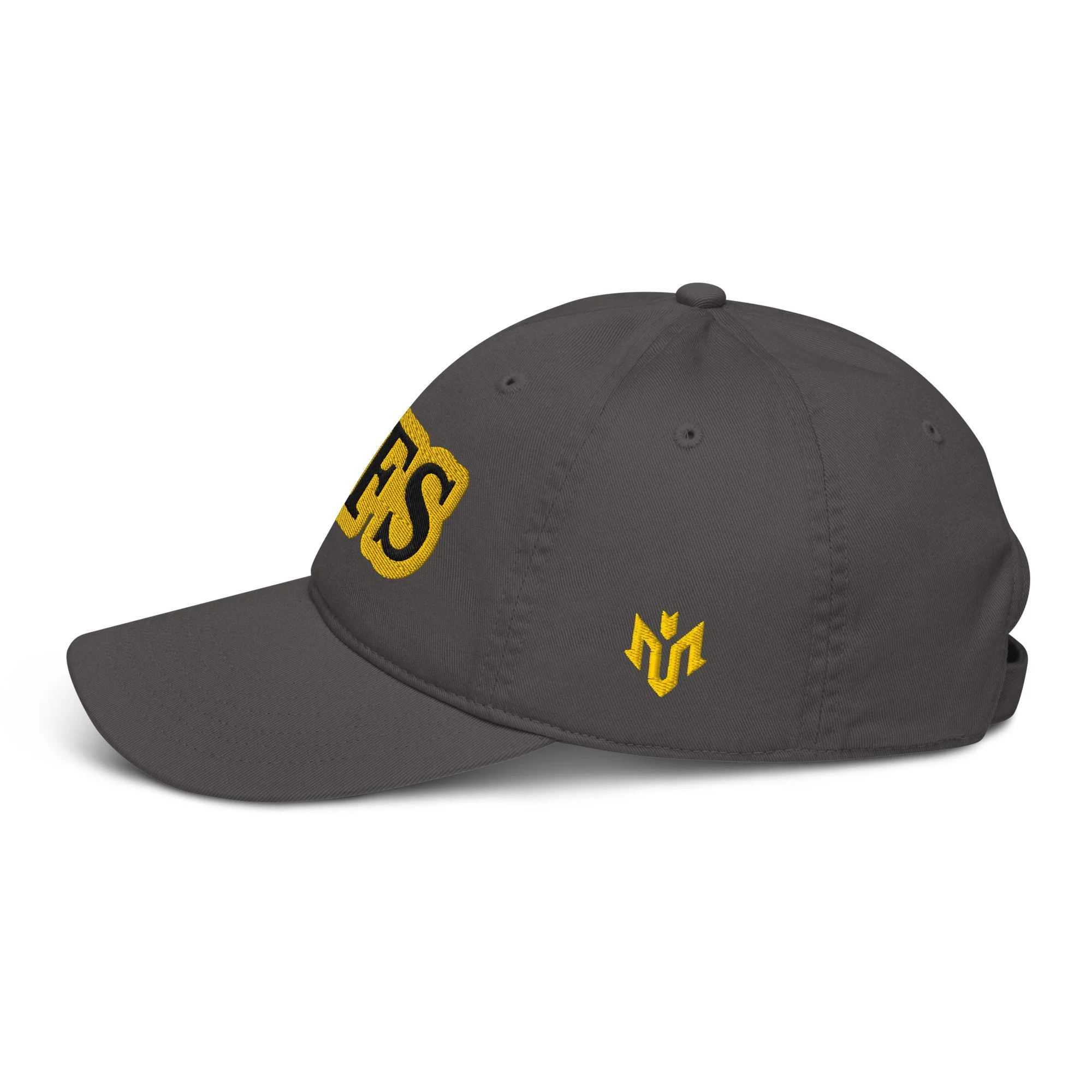 organic-baseball-cap-charcoal-left-689f6c1b814ee.jpg