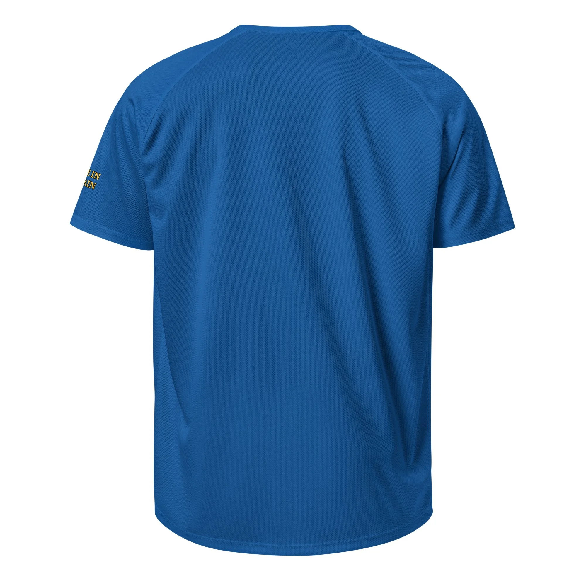 unisex-sports-jersey-royal-blue-back-68a4b37b431cd.jpg