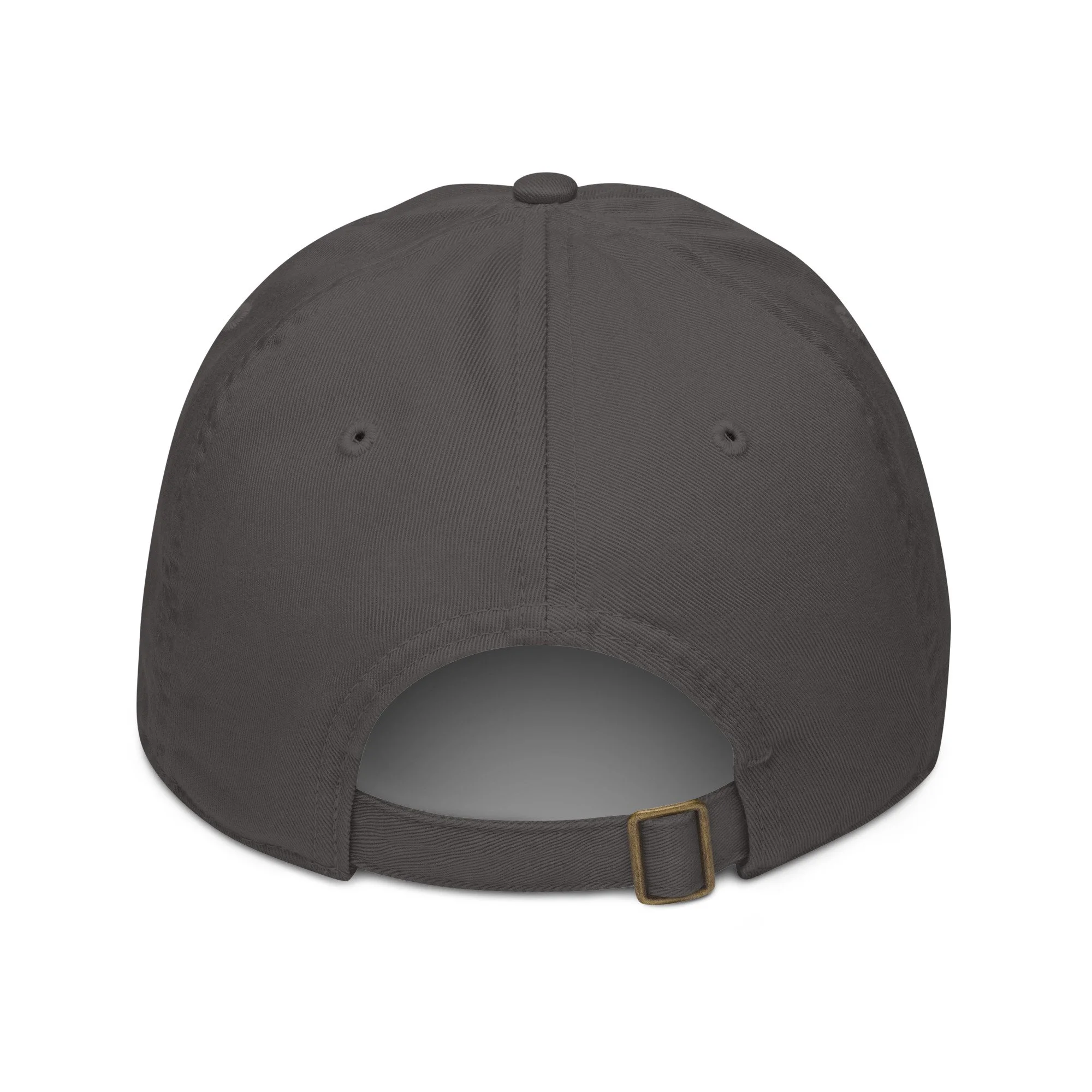 organic-baseball-cap-charcoal-back-68c8eb976abc1.jpg