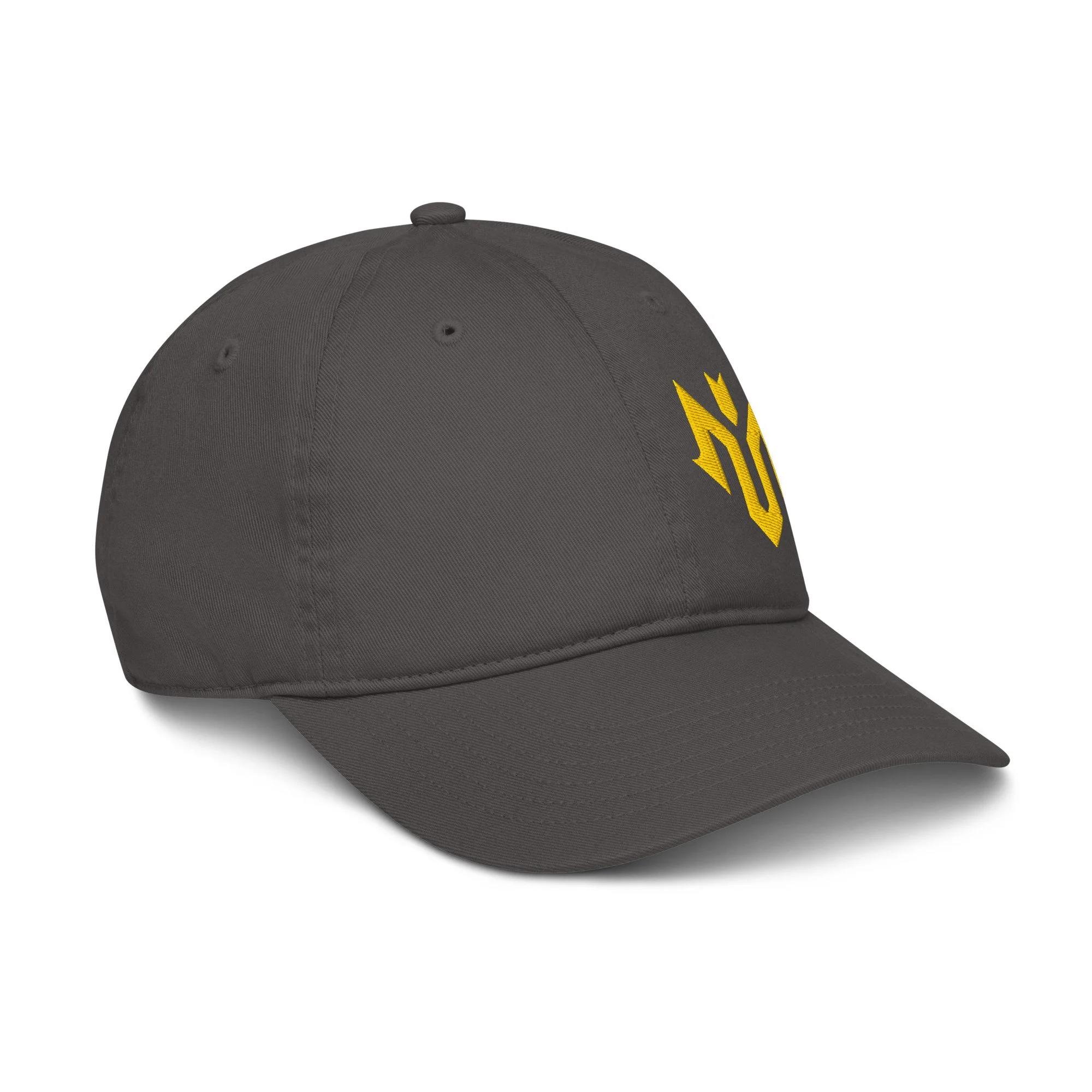 organic-baseball-cap-charcoal-right-front-68c8ebb411651.jpg
