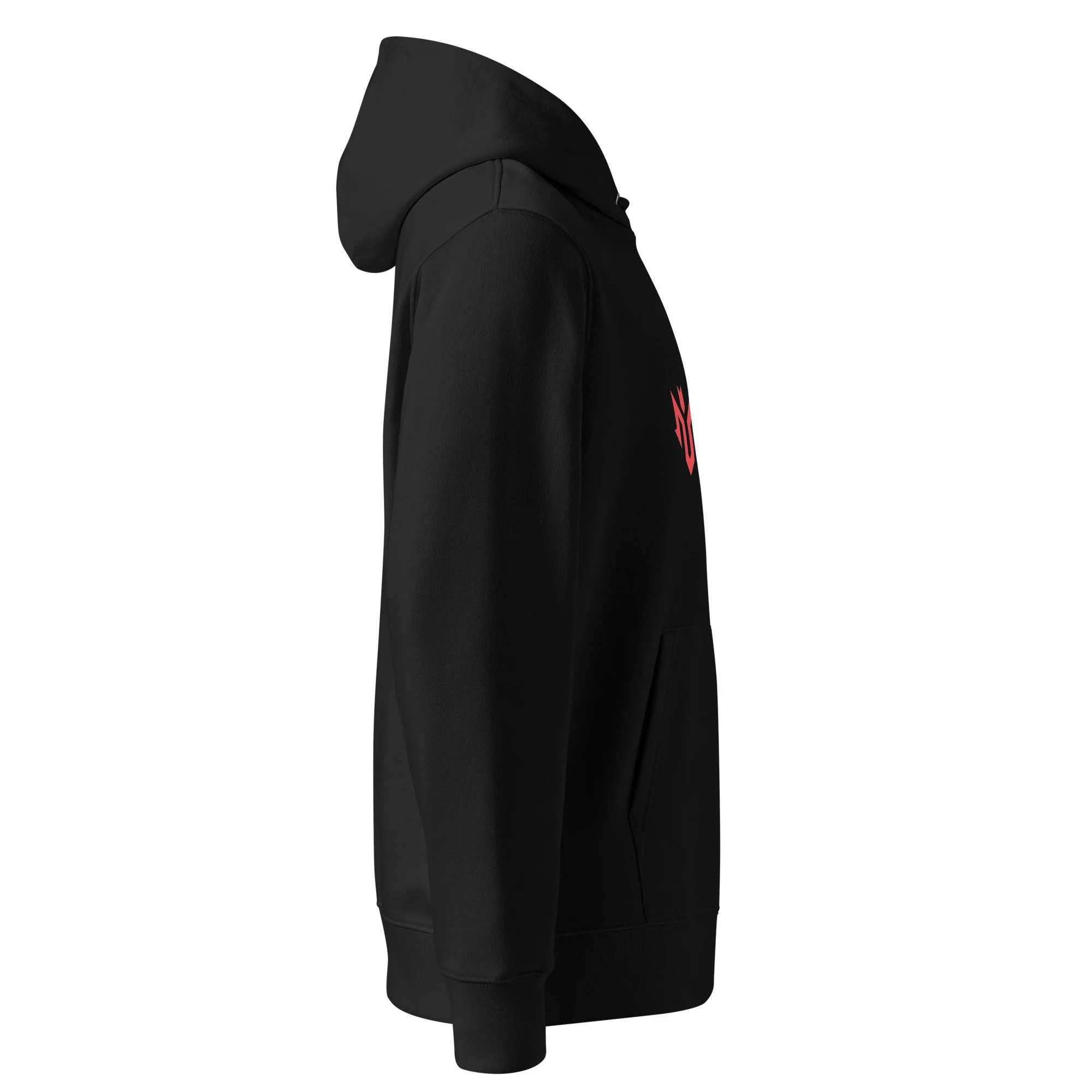 unisex-essential-eco-hoodie-black-right-68db749a934e8.jpg