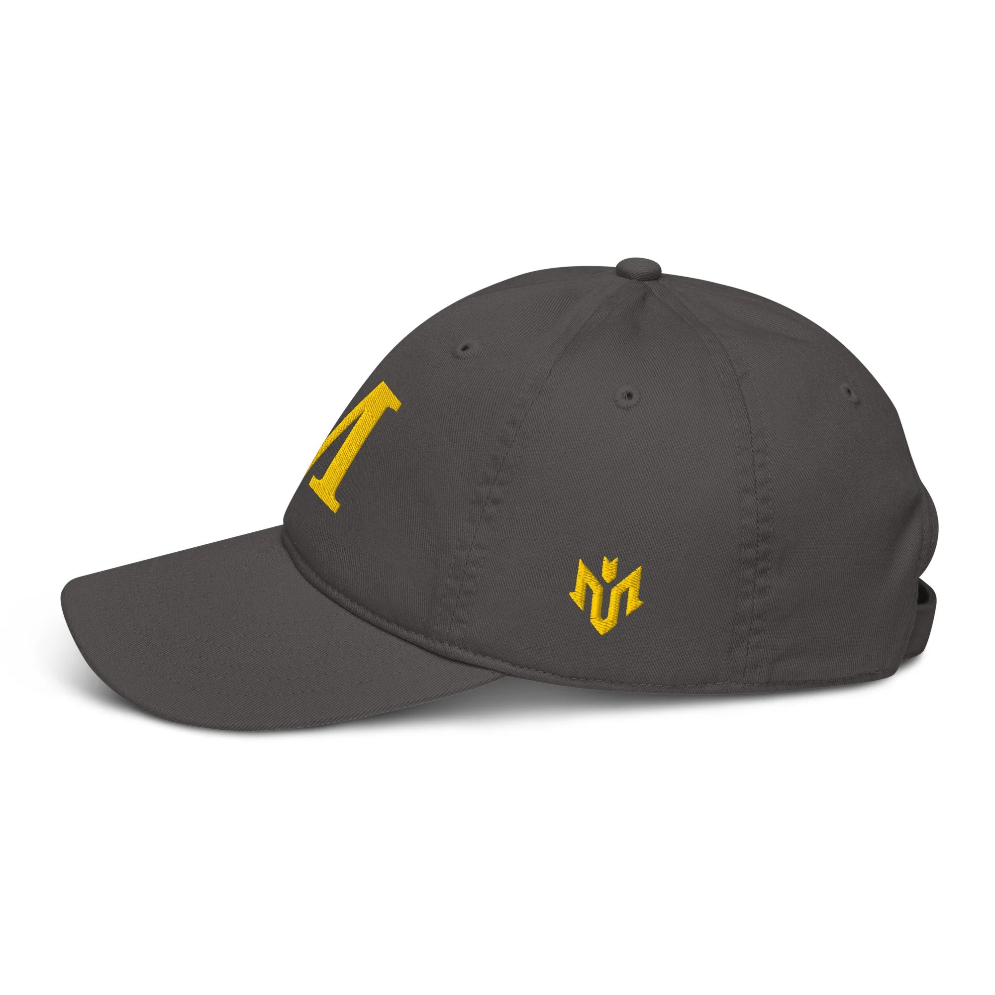 organic-baseball-cap-charcoal-left-693482db66acf.jpg