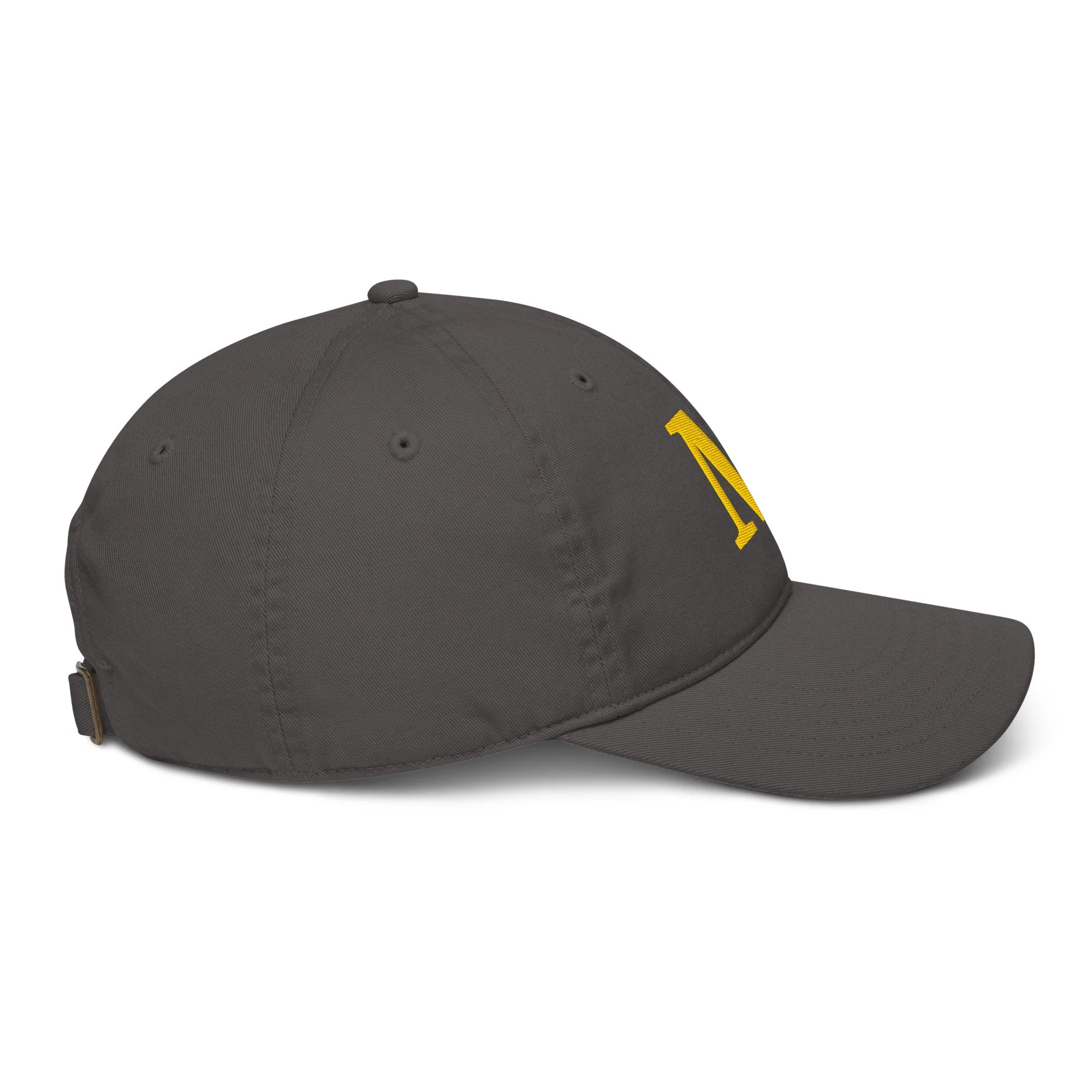 organic-baseball-cap-charcoal-right-693482db66f6f.jpg
