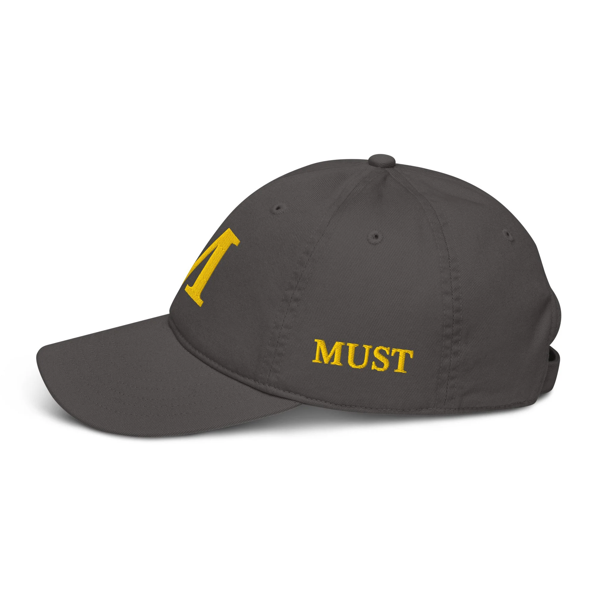 organic-baseball-cap-charcoal-left-693482f4e5f84.jpg