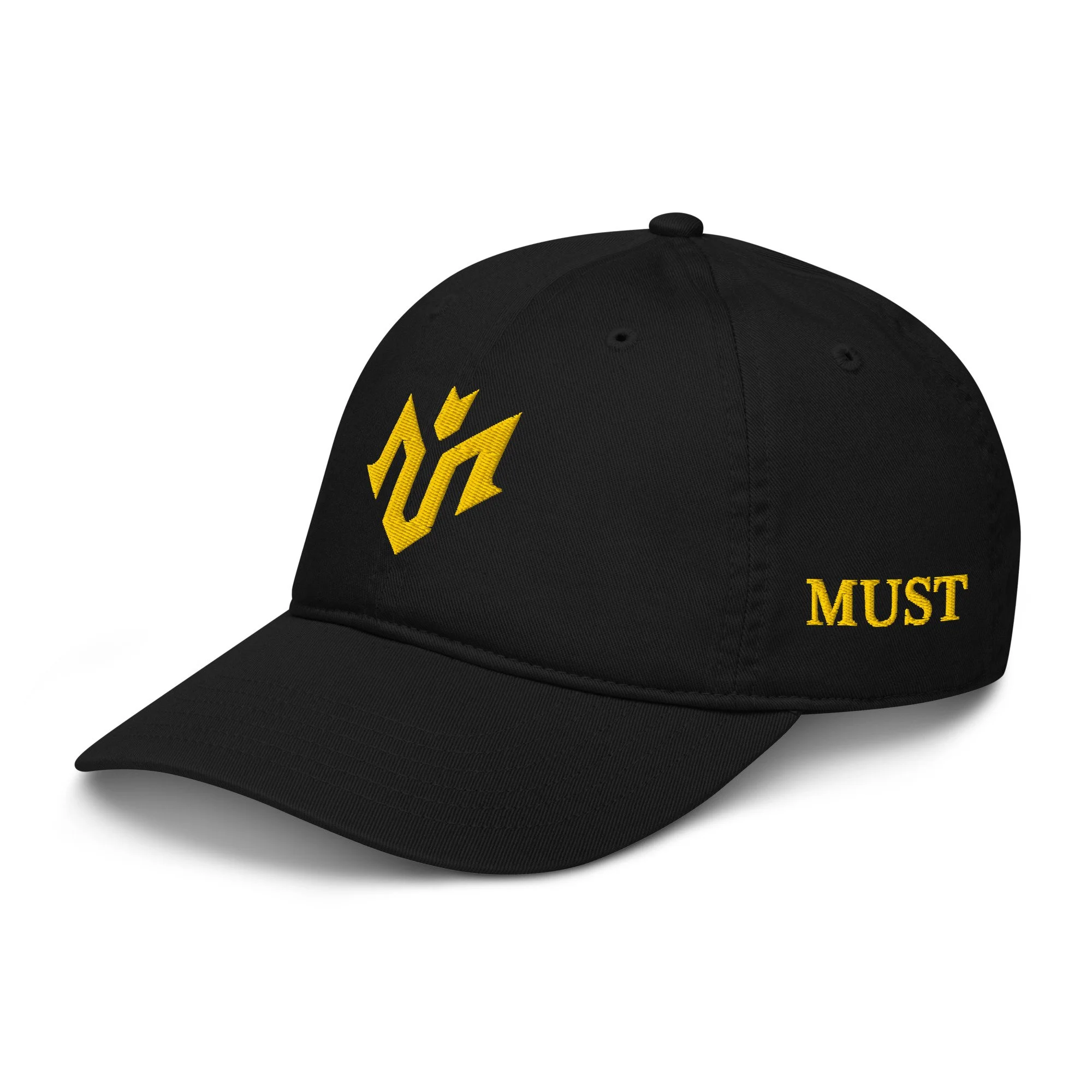 organic-baseball-cap-black-left-front-693501278ceac.jpg