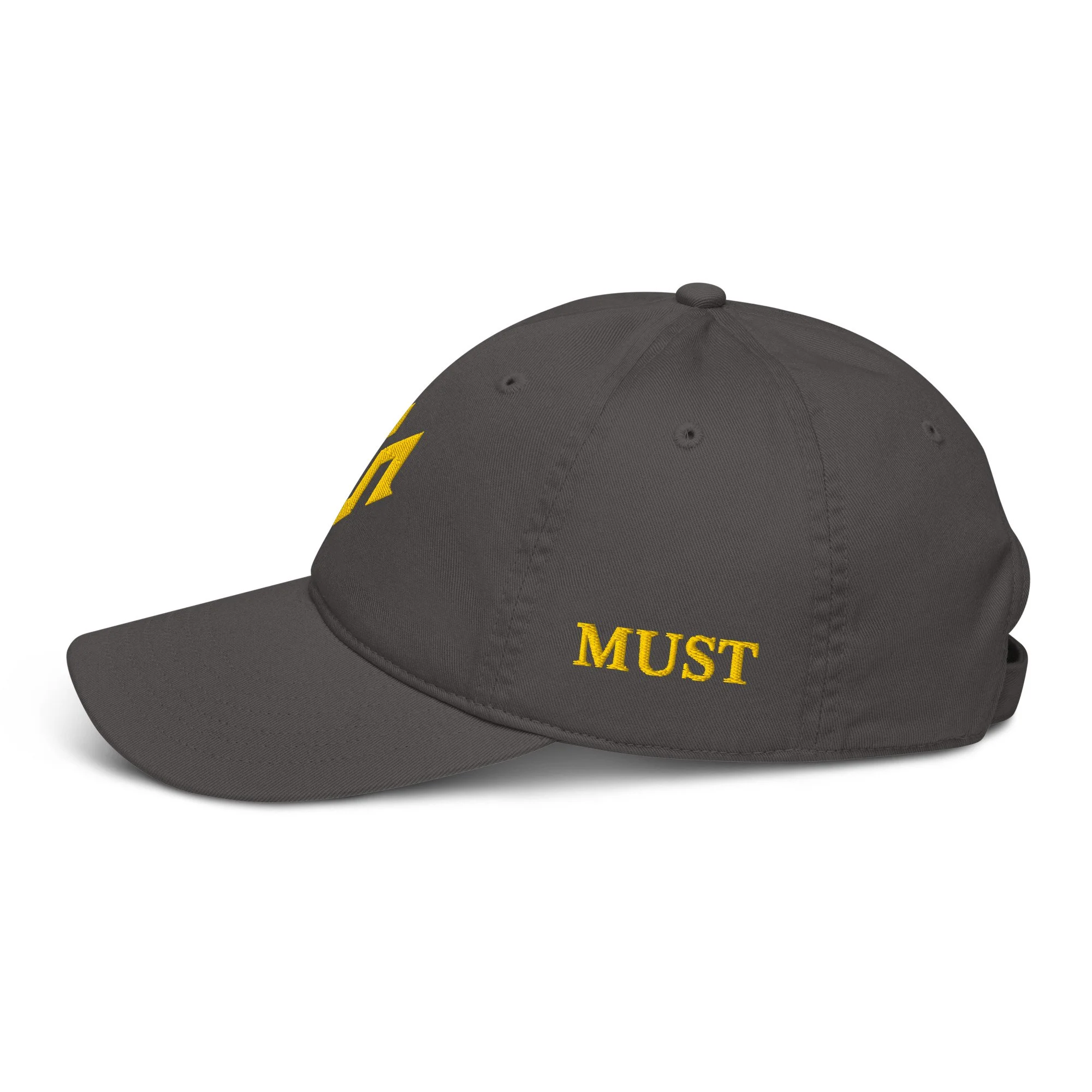 organic-baseball-cap-charcoal-left-693501278e077.jpg