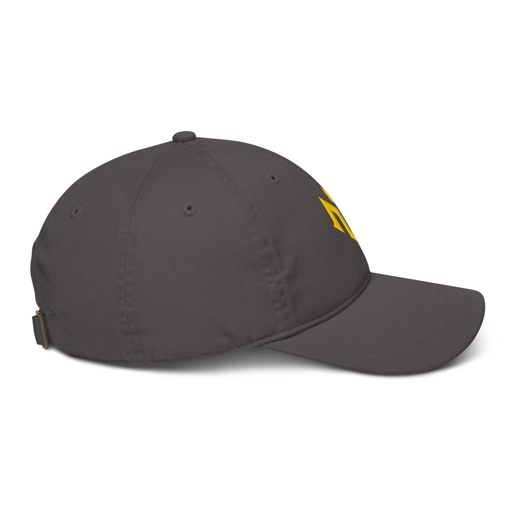 organic-baseball-cap-charcoal-right-693501278e2ef.jpg