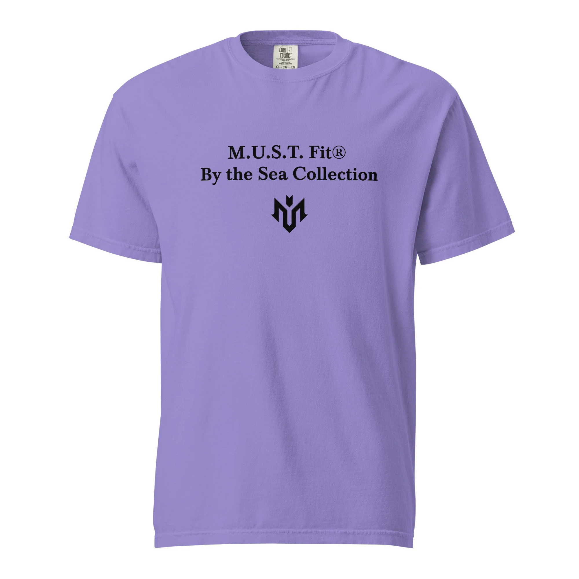 unisex-garment-dyed-heavyweight-t-shirt-violet-front-69c2810c6d689.jpg