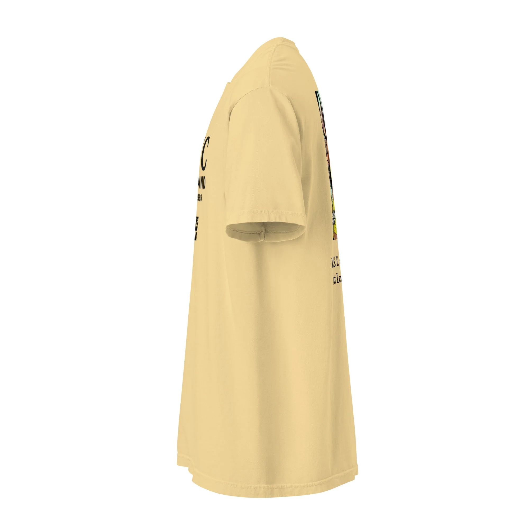 unisex-garment-dyed-heavyweight-t-shirt-butter-left-69c282603f698.jpg