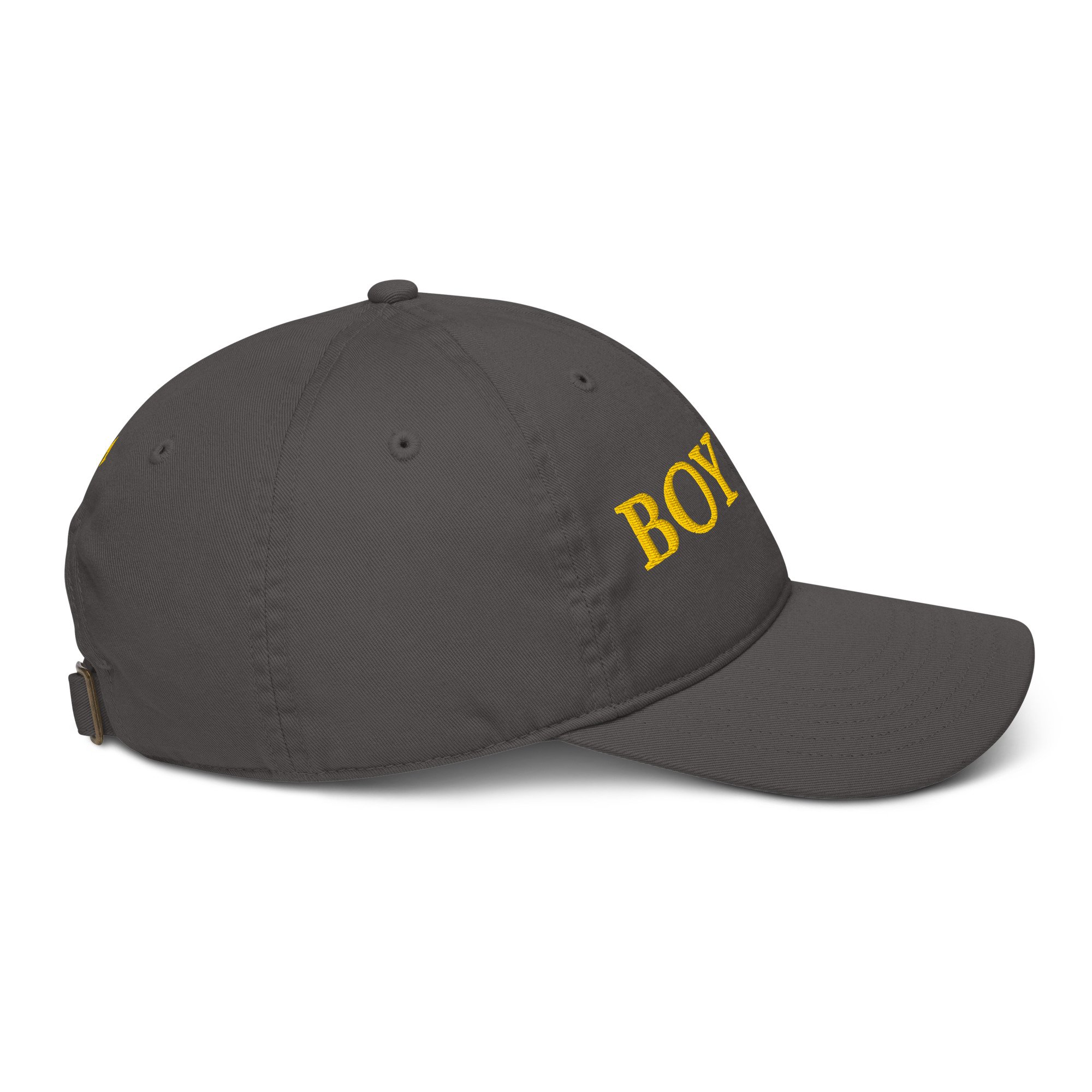 organic-baseball-cap-charcoal-right-69e1300ee696f.jpg