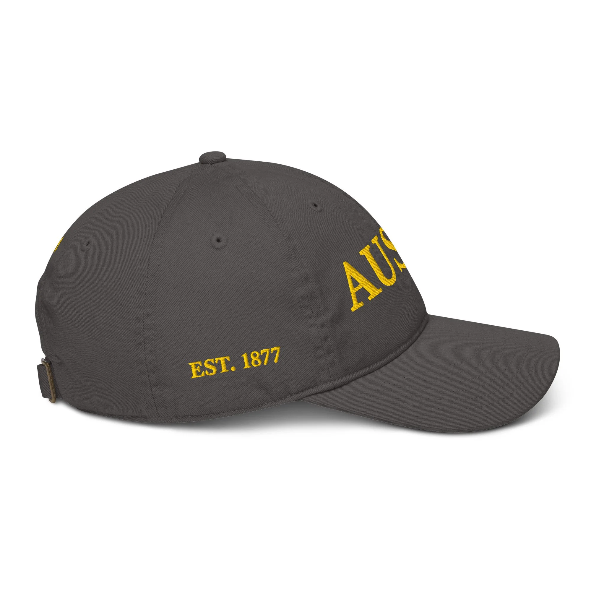 organic-baseball-cap-charcoal-right-69e90a8c99d66.jpg