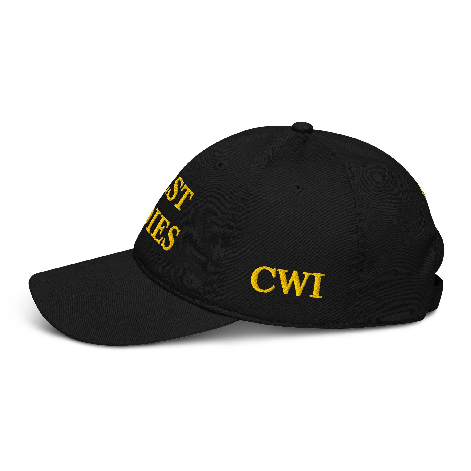 organic-baseball-cap-black-left-69e90aadddbd2.jpg