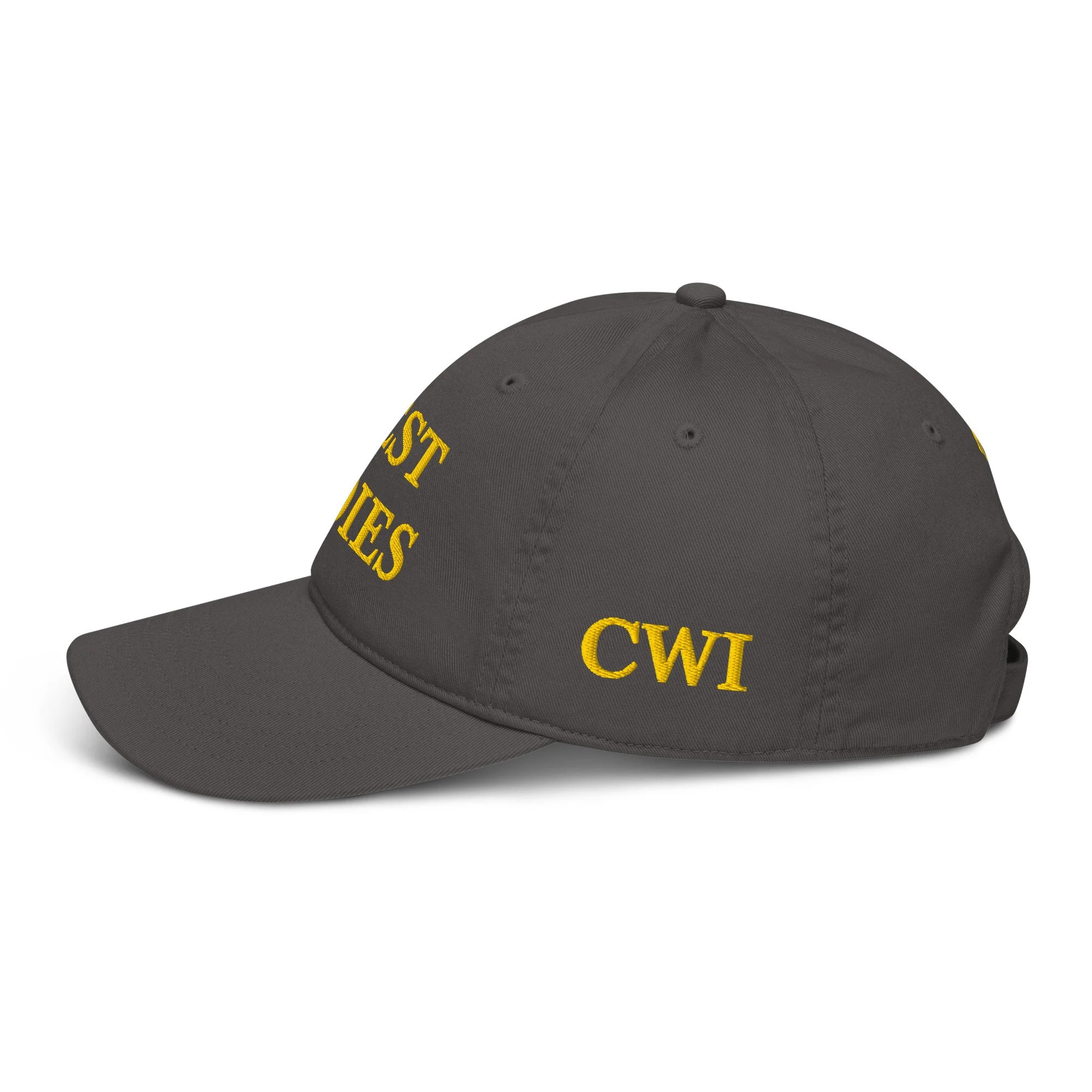 organic-baseball-cap-charcoal-left-69e90aadde294.jpg