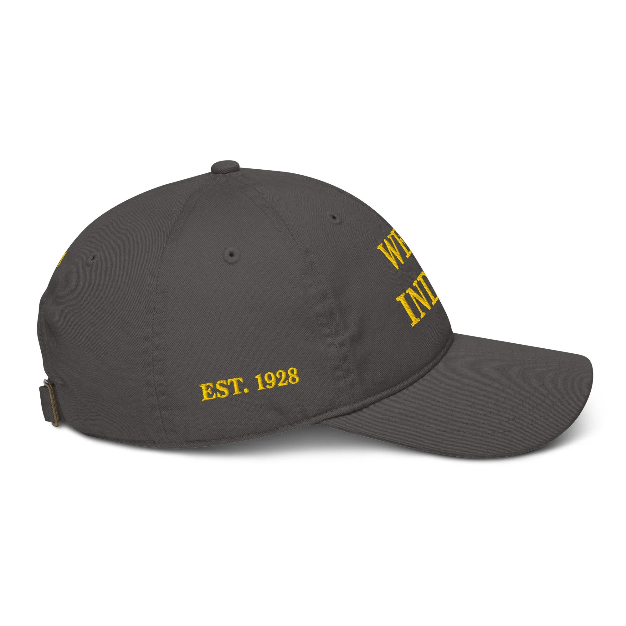 organic-baseball-cap-charcoal-right-69e90aadde4dd.jpg