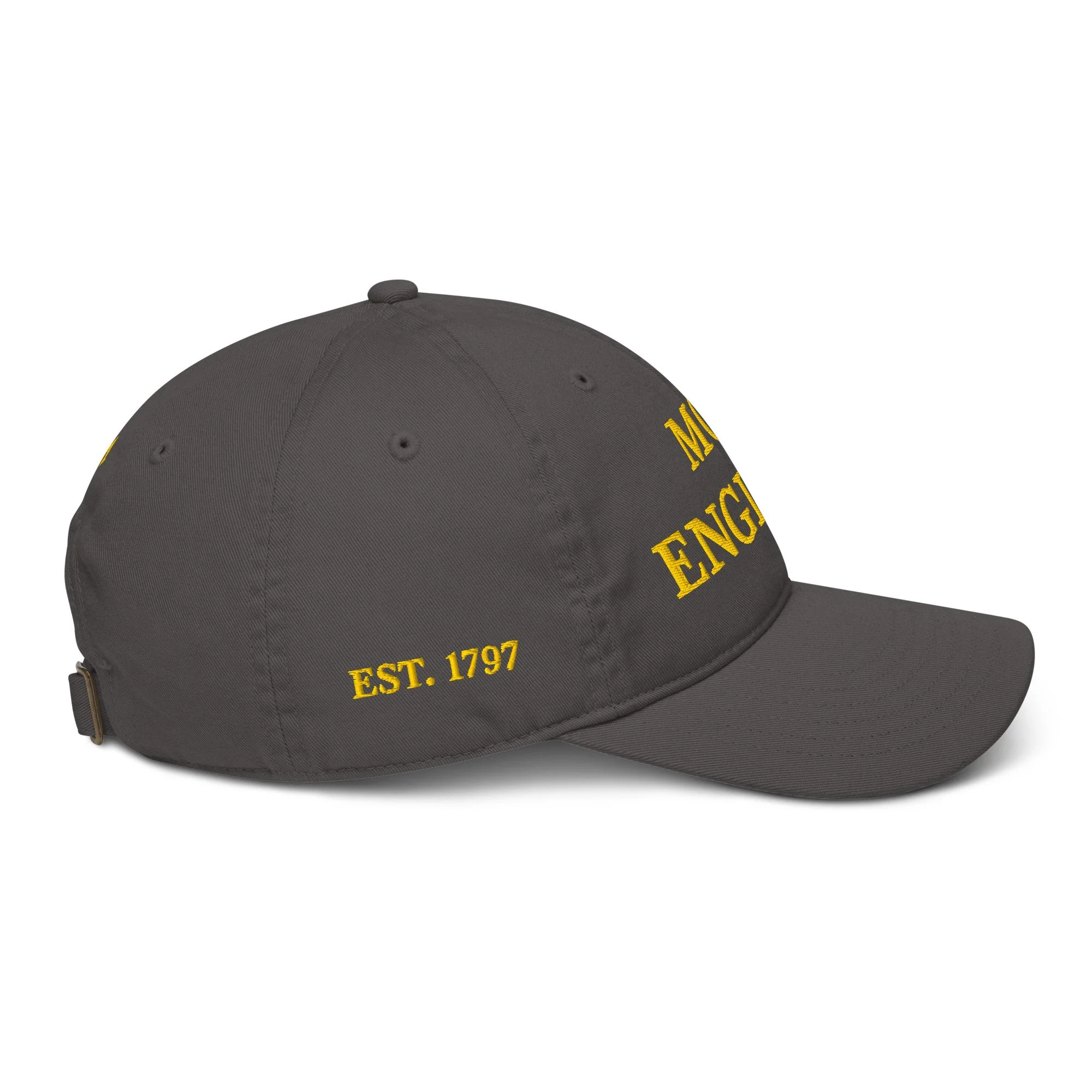 organic-baseball-cap-charcoal-right-69e90b6c43289.jpg