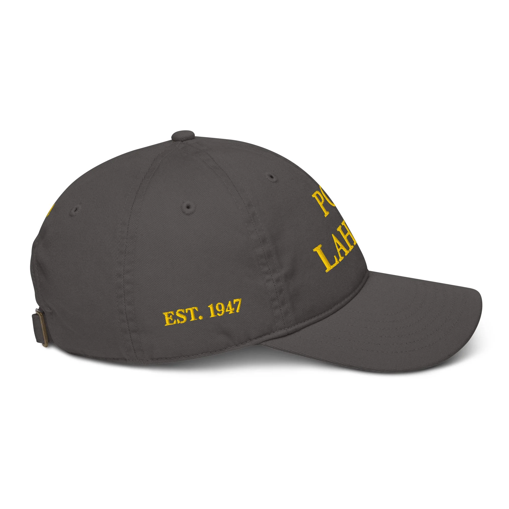 organic-baseball-cap-charcoal-right-69e9112755a9f.jpg