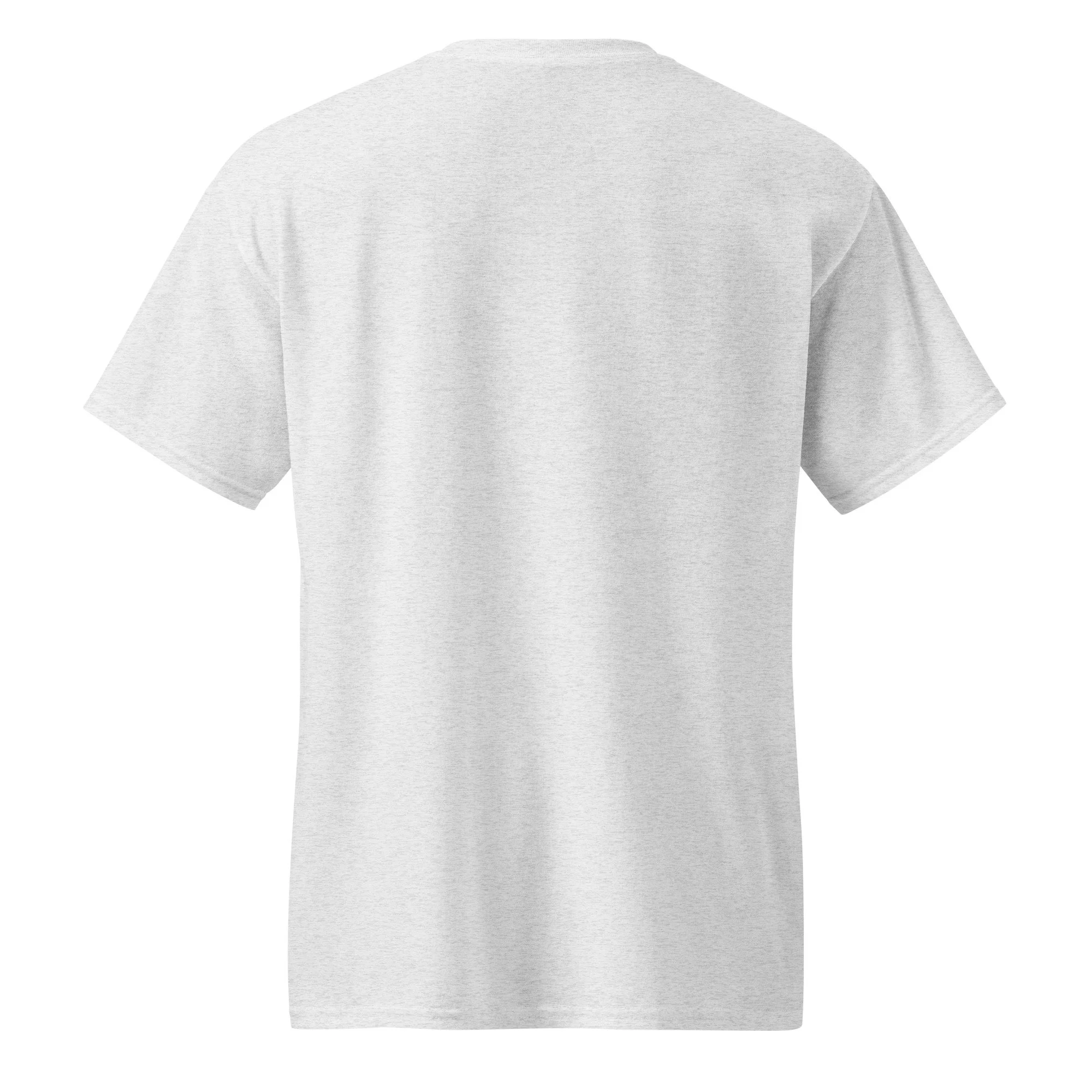 unisex-sports-tee-ash-back-69eb1949bfa9d.jpg