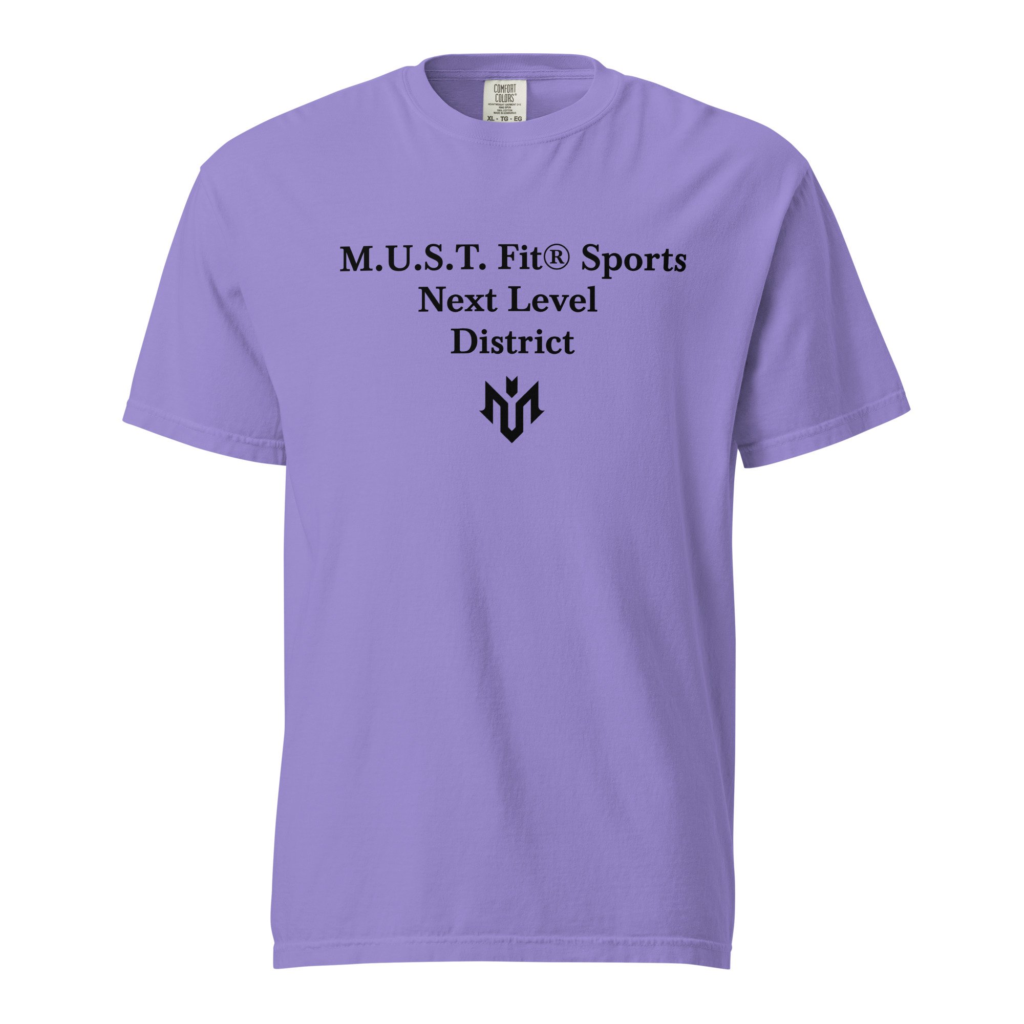 unisex-garment-dyed-heavyweight-t-shirt-violet-front-69ed9934c2874.jpg