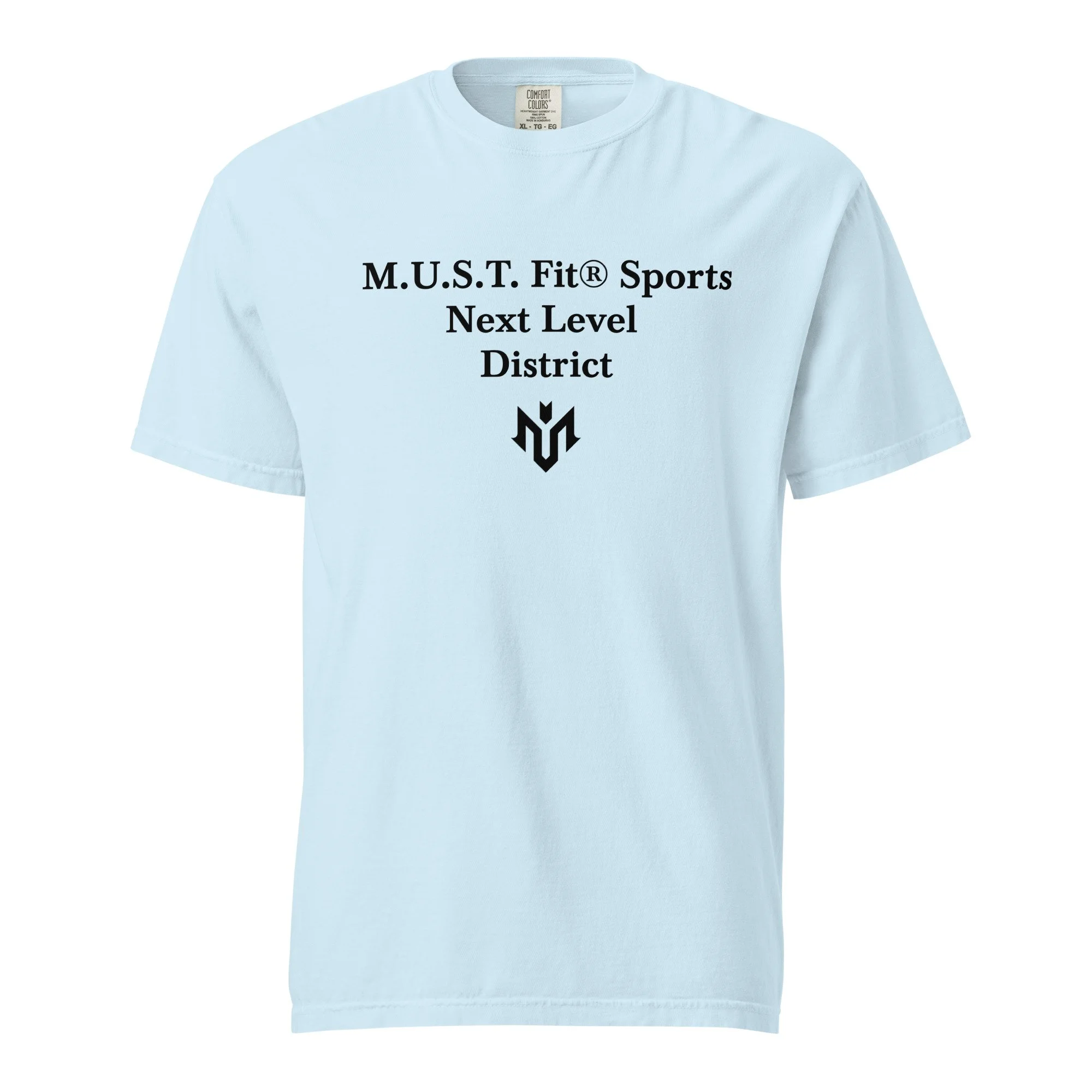 unisex-garment-dyed-heavyweight-t-shirt-chambray-front-69ed9934e59d7.jpg