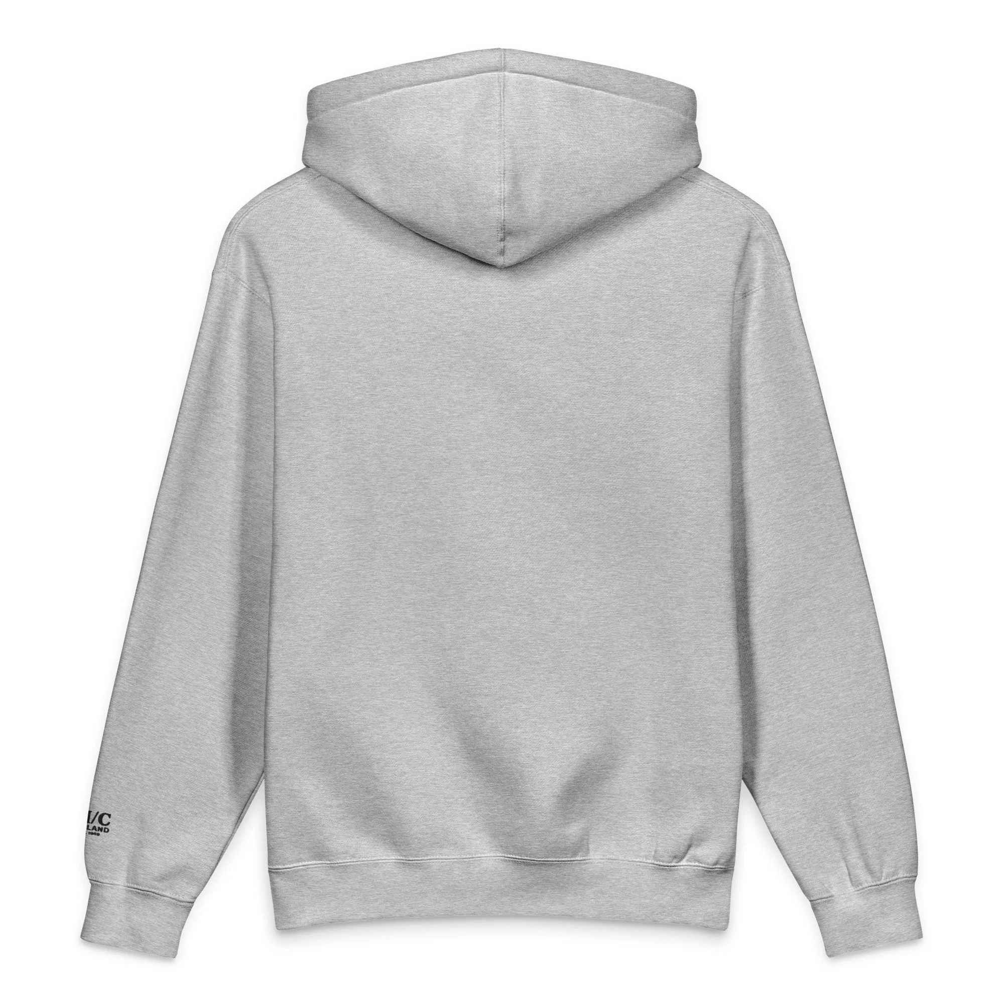 unisex-heavyweight-hooded-sweatshirt-grey-heather-back-69f0eeb3d8ca1.jpg