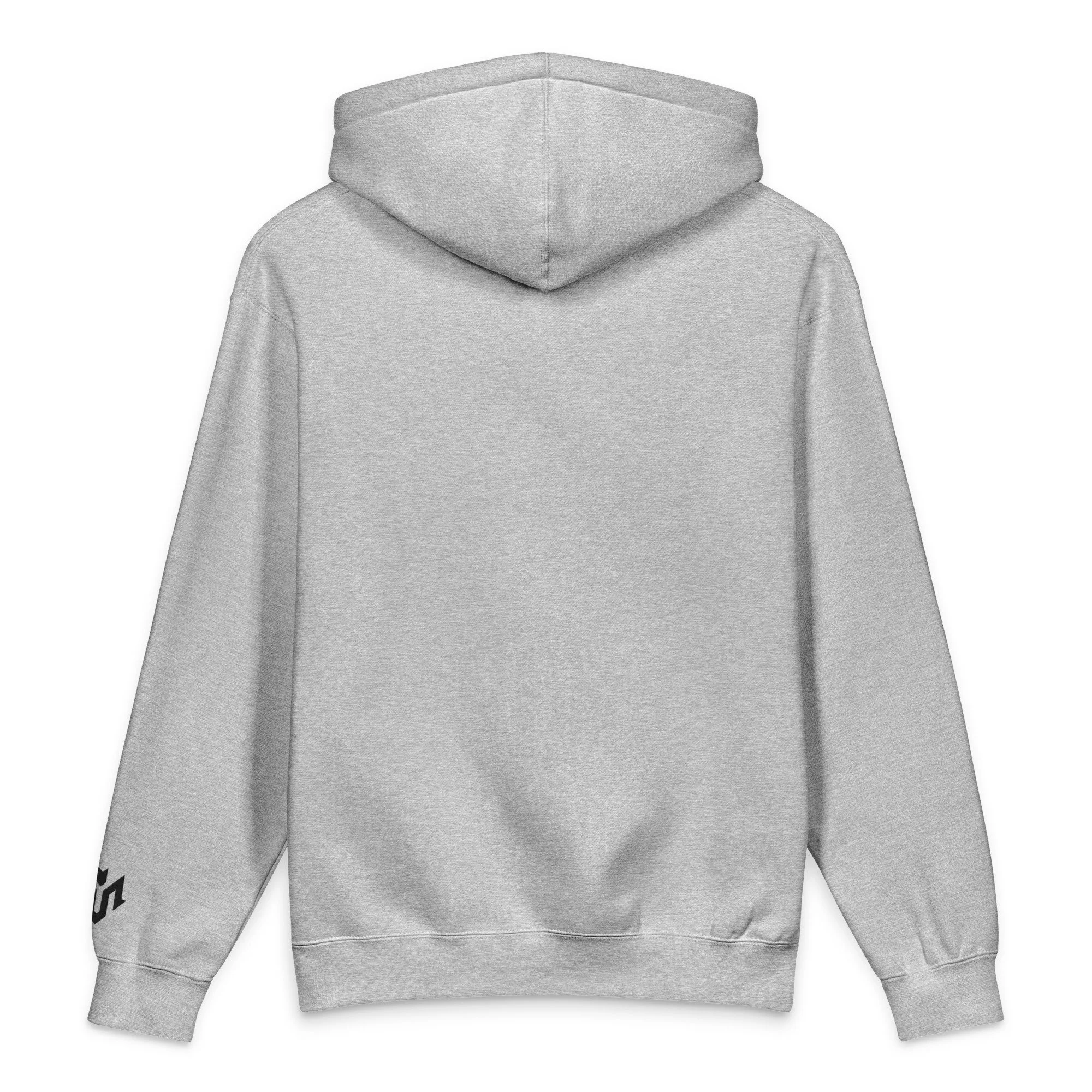 unisex-heavyweight-hooded-sweatshirt-grey-heather-back-69f0eed900efc.jpg