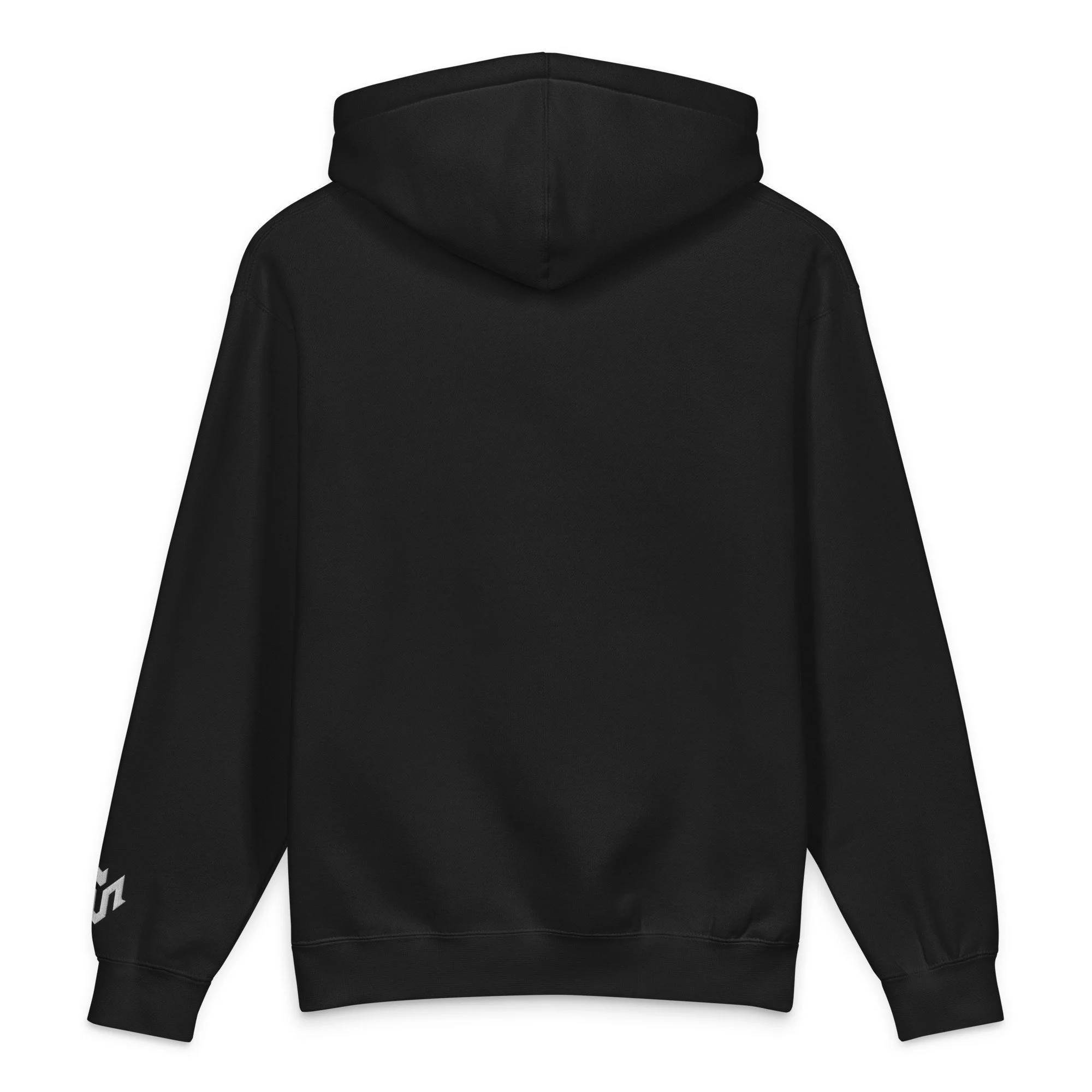 unisex-heavyweight-hooded-sweatshirt-black-back-69f0ef150cc40.jpg