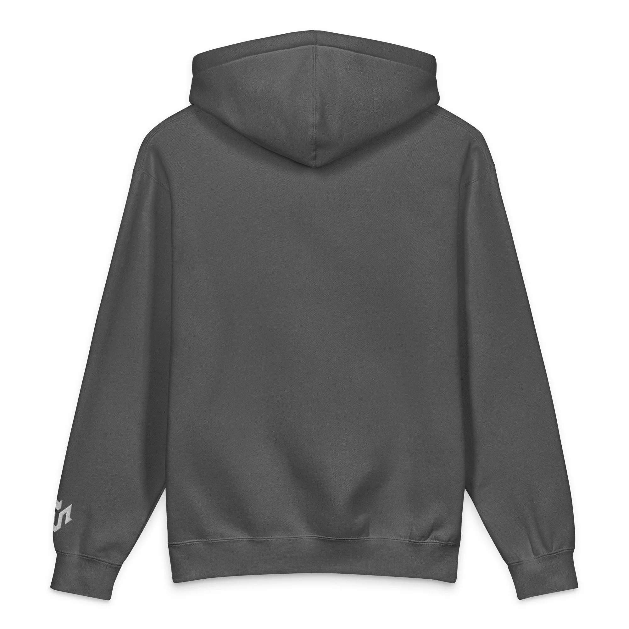 unisex-heavyweight-hooded-sweatshirt-charcoal-solid-back-69f0ef150d1e5.jpg