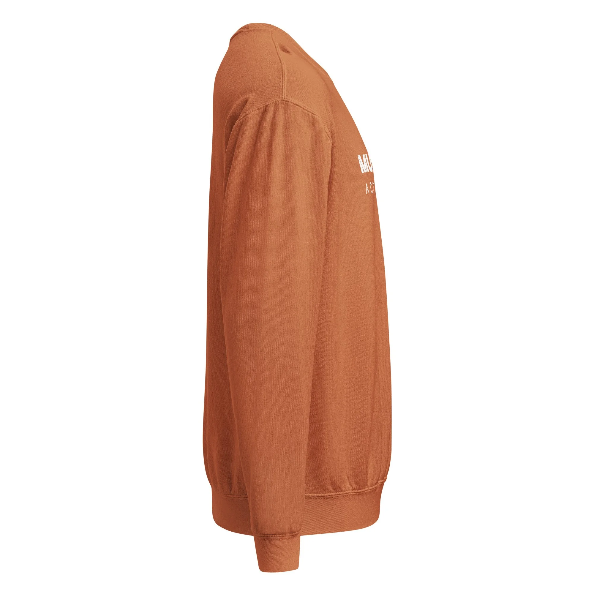arment-dyed-lightweight-fleece-crewneck-sweatshirt-i-comfort-colors-1466-yam-right-6a8a015e09255.jpg