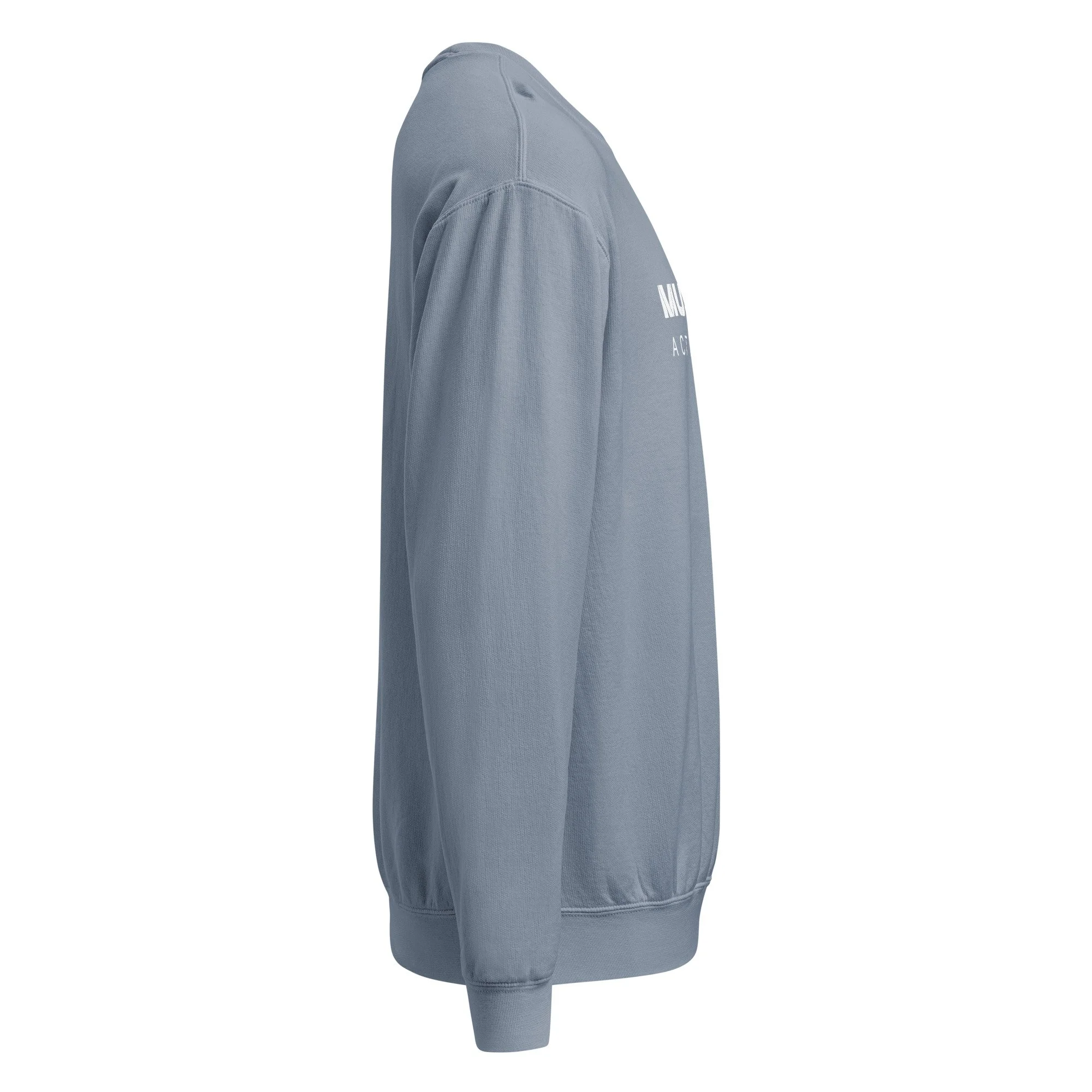 -dyed-lightweight-fleece-crewneck-sweatshirt-i-comfort-colors-1466-blue-jean-right-6a8a015e09c68.jpg