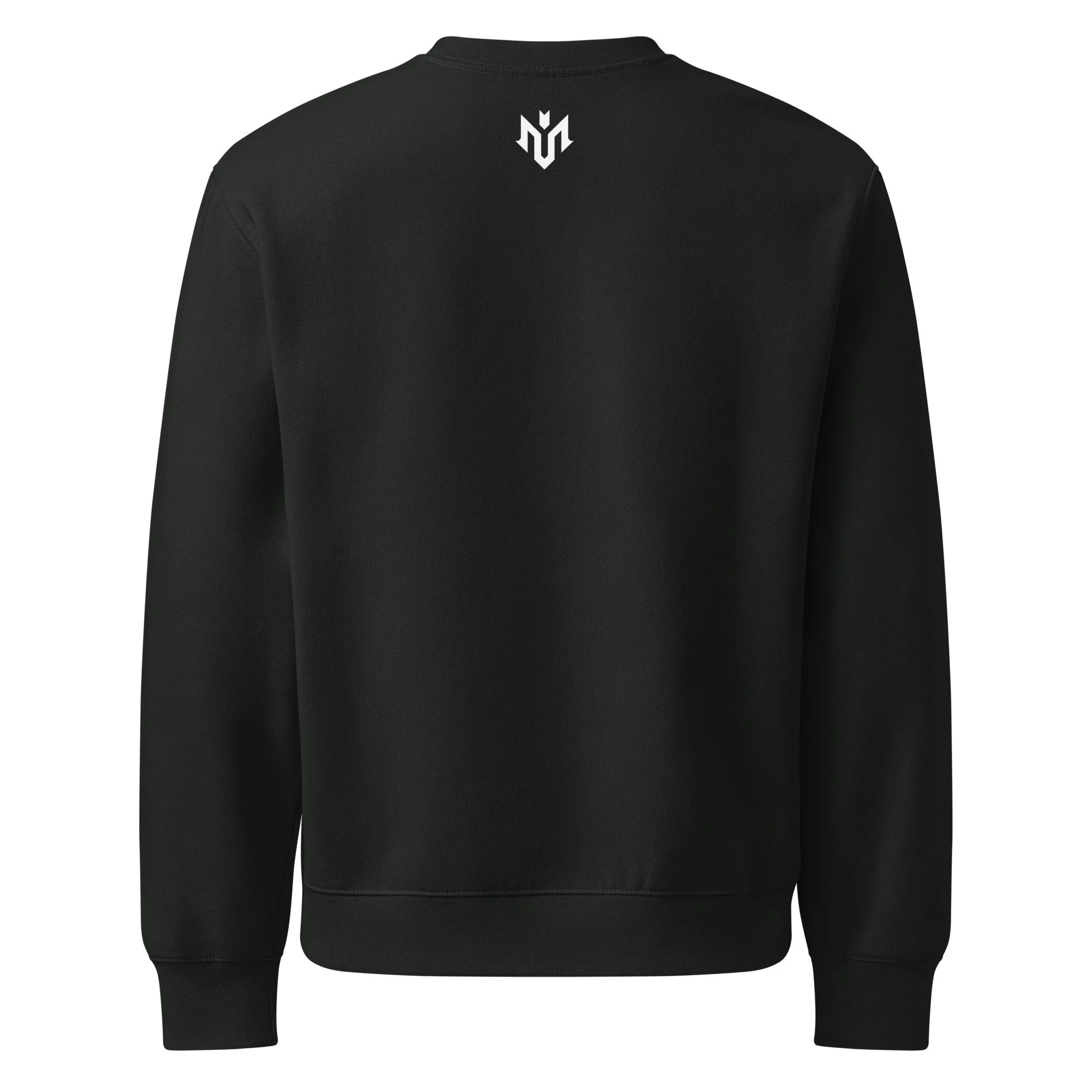unisex-oversized-heavyweight-sweatshirt-vintage-black-back-6a91eb6b75604.jpg