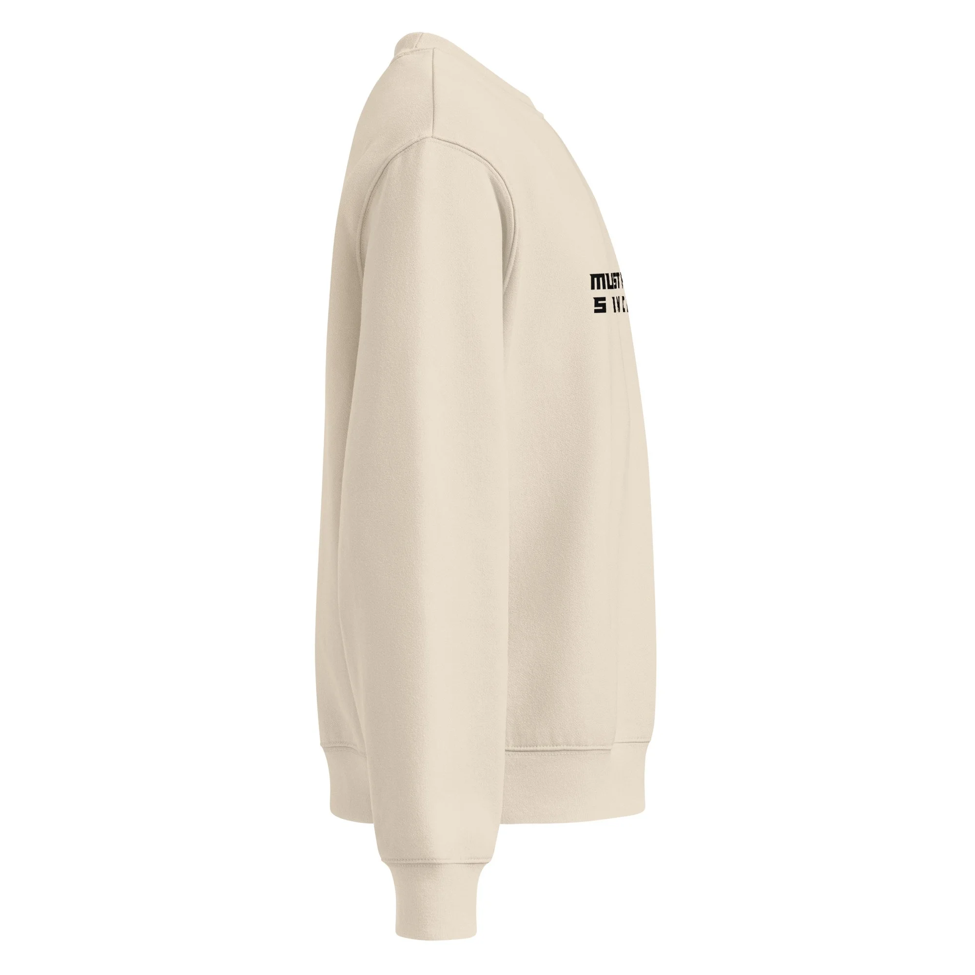 unisex-oversized-heavyweight-sweatshirt-dust-right-6a91eb8ed9f13.jpg