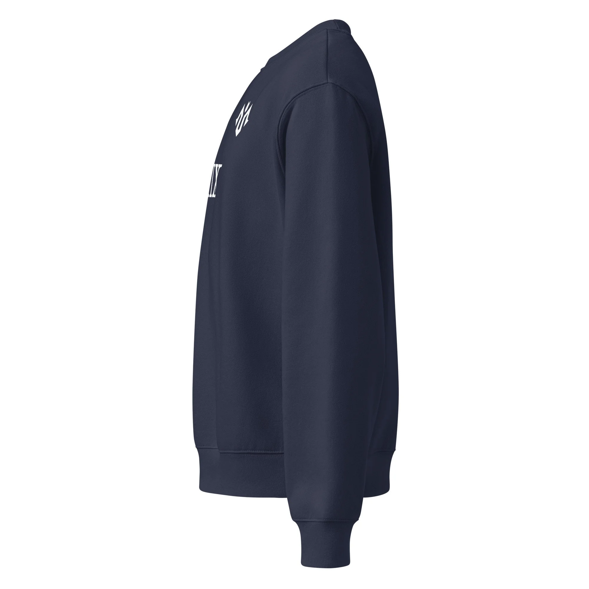 unisex-oversized-heavyweight-sweatshirt-navy-left-6a91ebb03a740.jpg