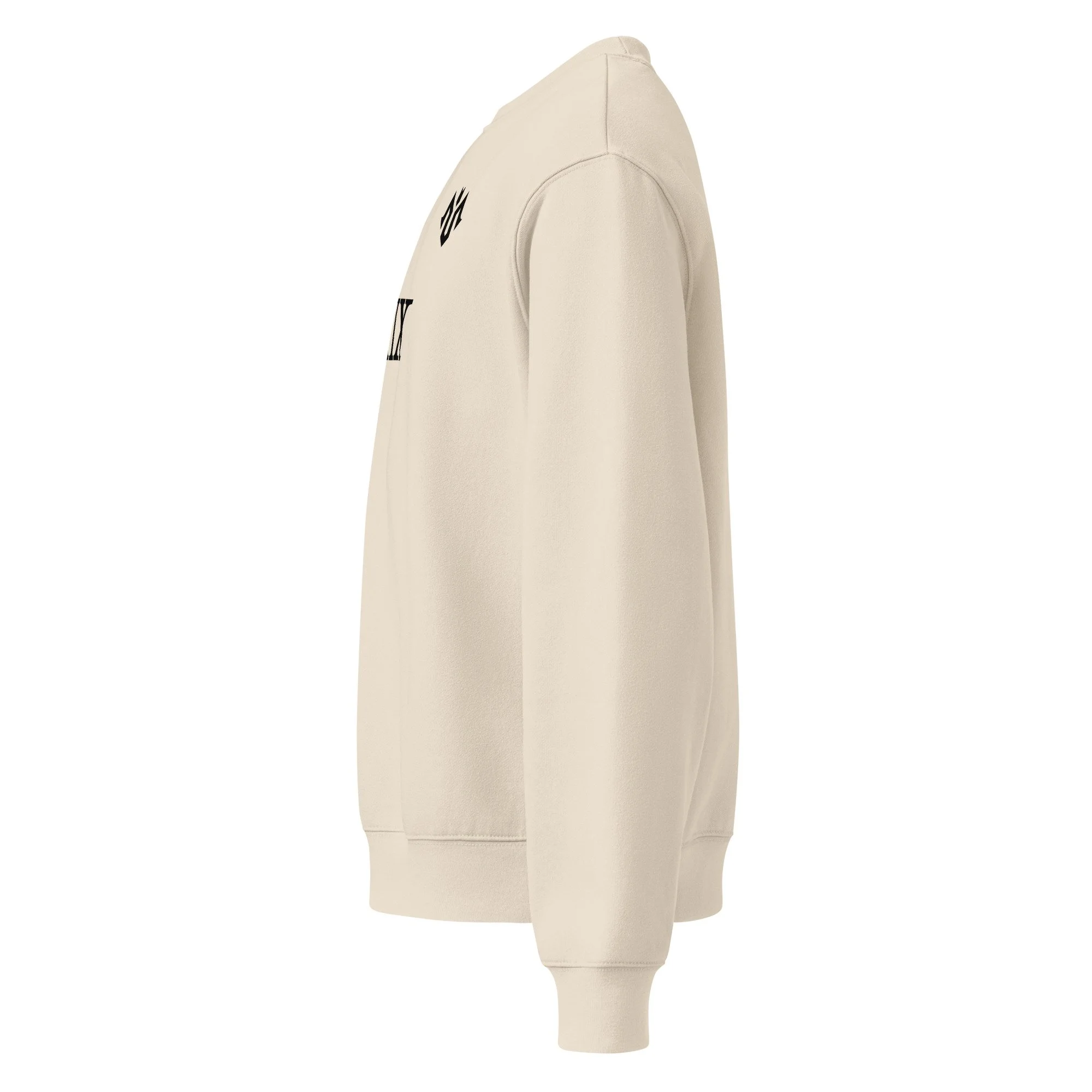 unisex-oversized-heavyweight-sweatshirt-dust-left-6a91ebd5493ea.jpg