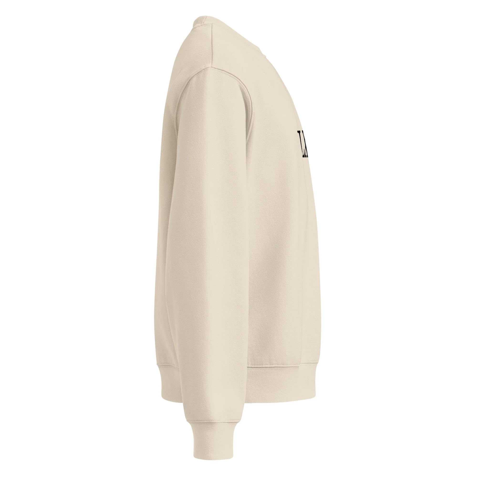 unisex-oversized-heavyweight-sweatshirt-dust-right-6a91ebd5494b6.jpg