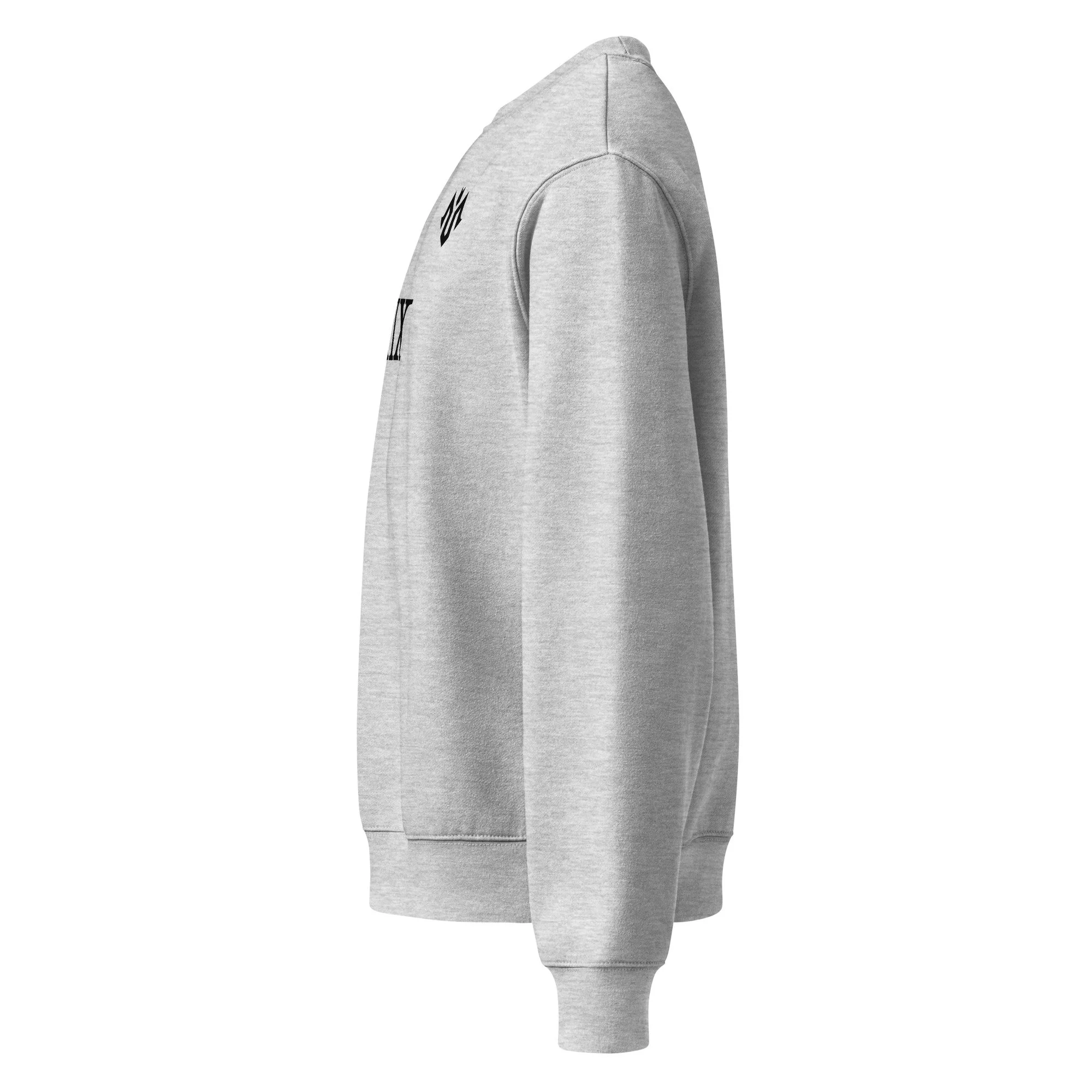 unisex-oversized-heavyweight-sweatshirt-athletic-heather-left-6a91ebd549ab1.jpg