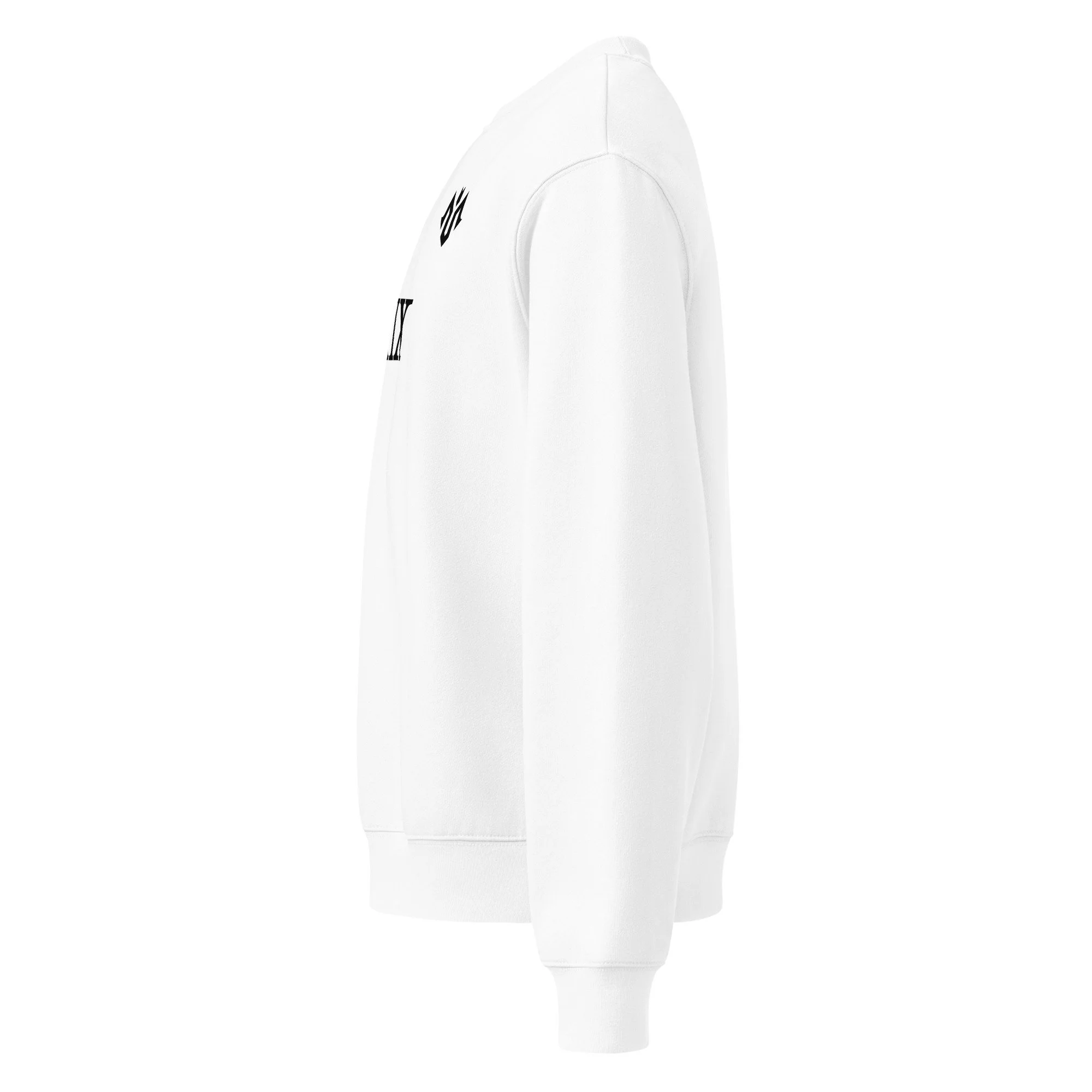 unisex-oversized-heavyweight-sweatshirt-white-left-6a91ebd54a588.jpg