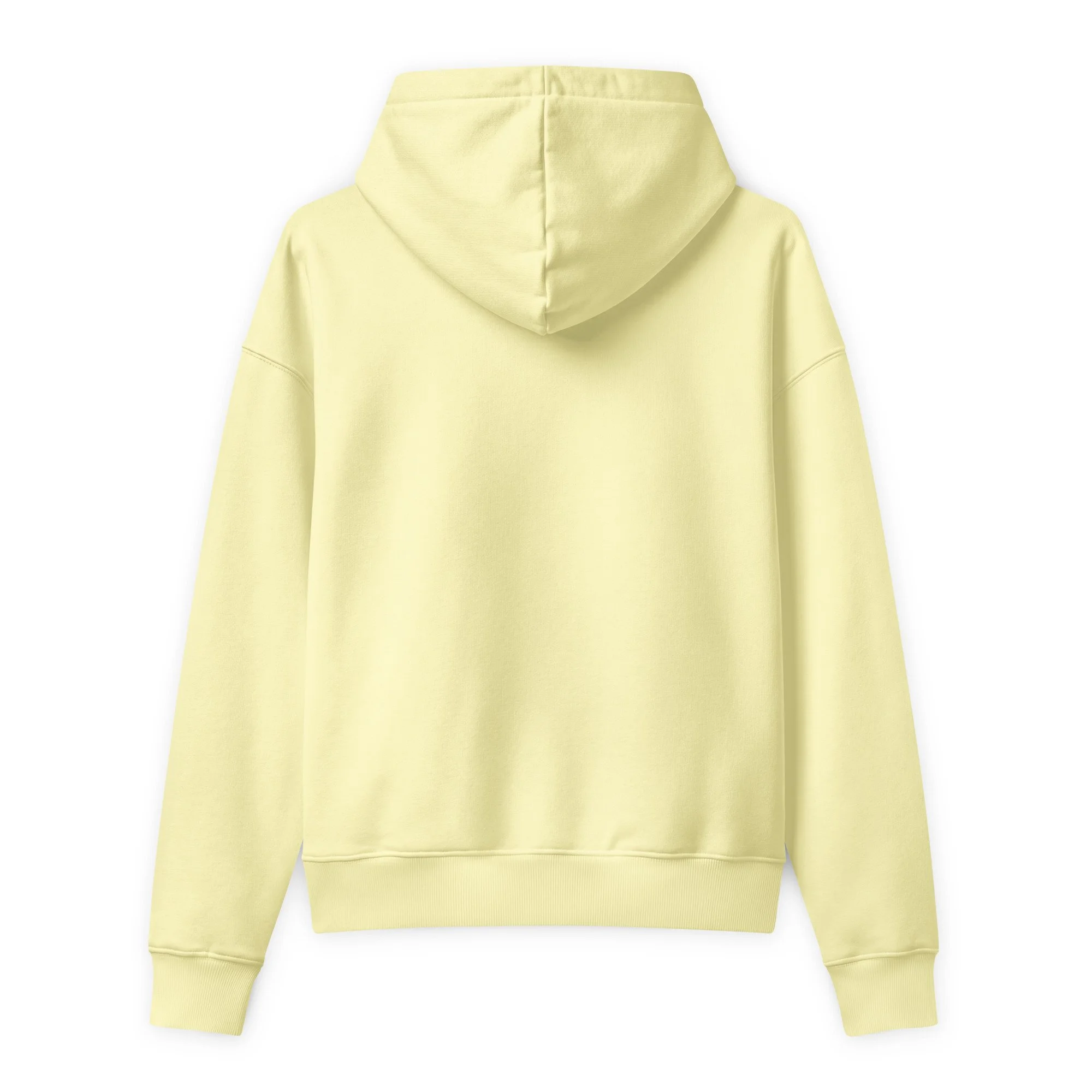 unisex-relaxed-mid-weight-chaser-hooded-sweatshirt-lemon-sorbet-back-6a9c79eb83b41.jpg