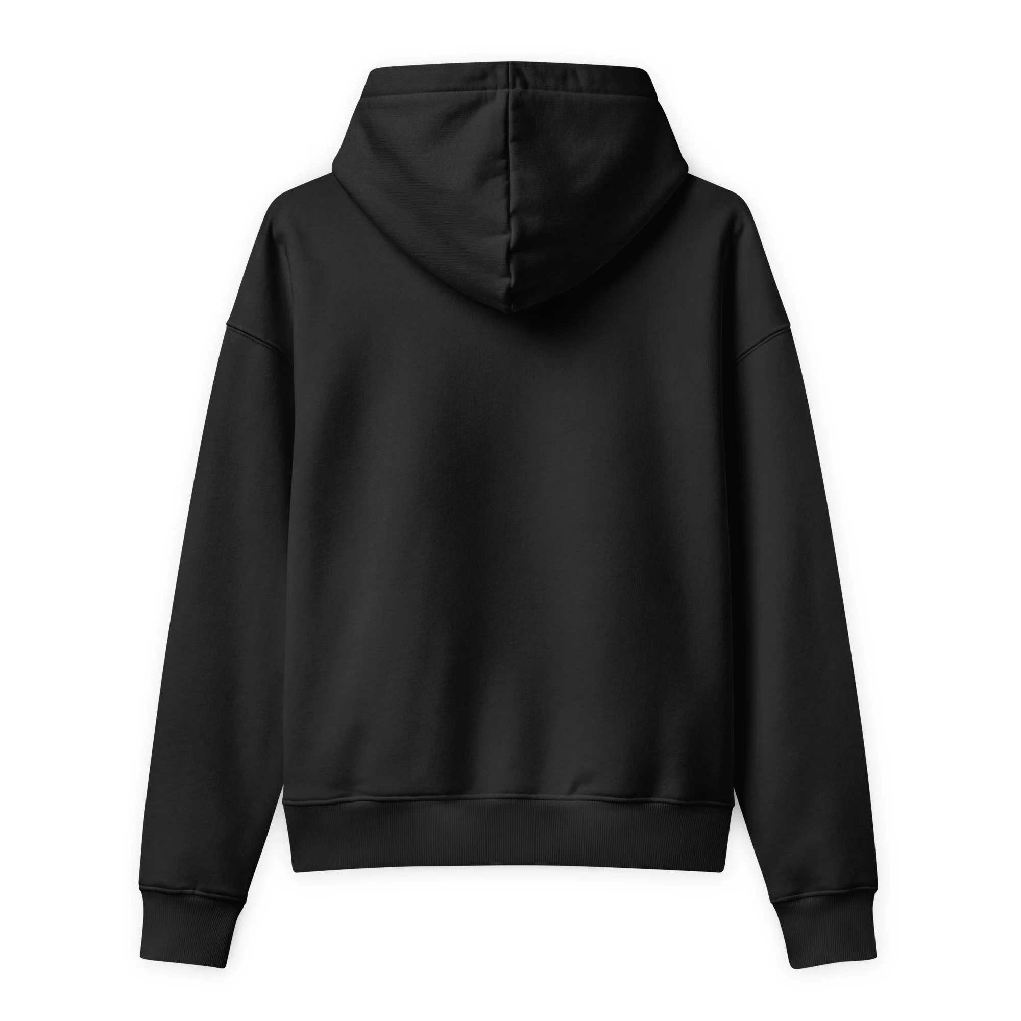 unisex-relaxed-mid-weight-chaser-hooded-sweatshirt-black-back-6a9c7a1d45247.jpg