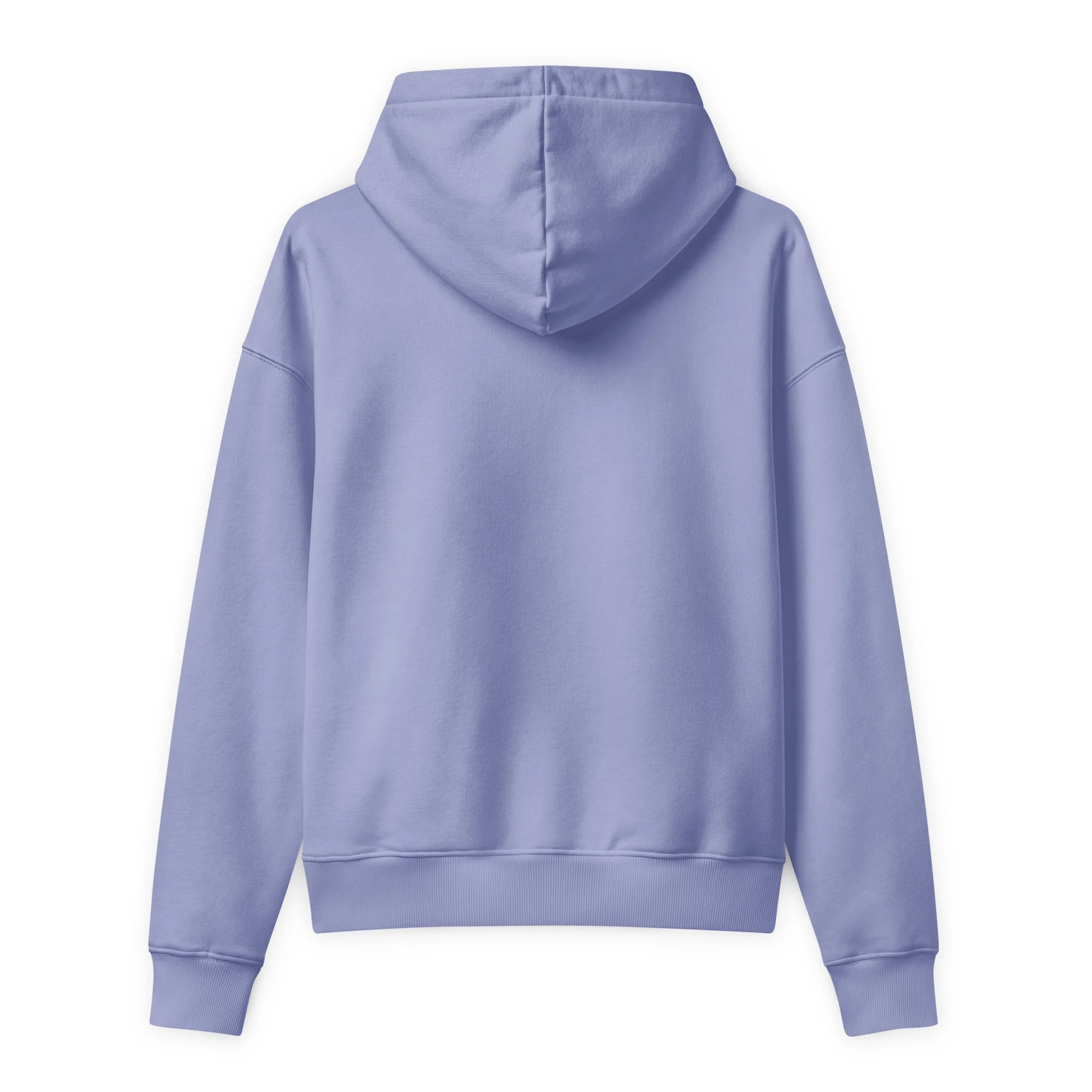 unisex-relaxed-mid-weight-chaser-hooded-sweatshirt-violet-back-6a9c7a1d45895.jpg