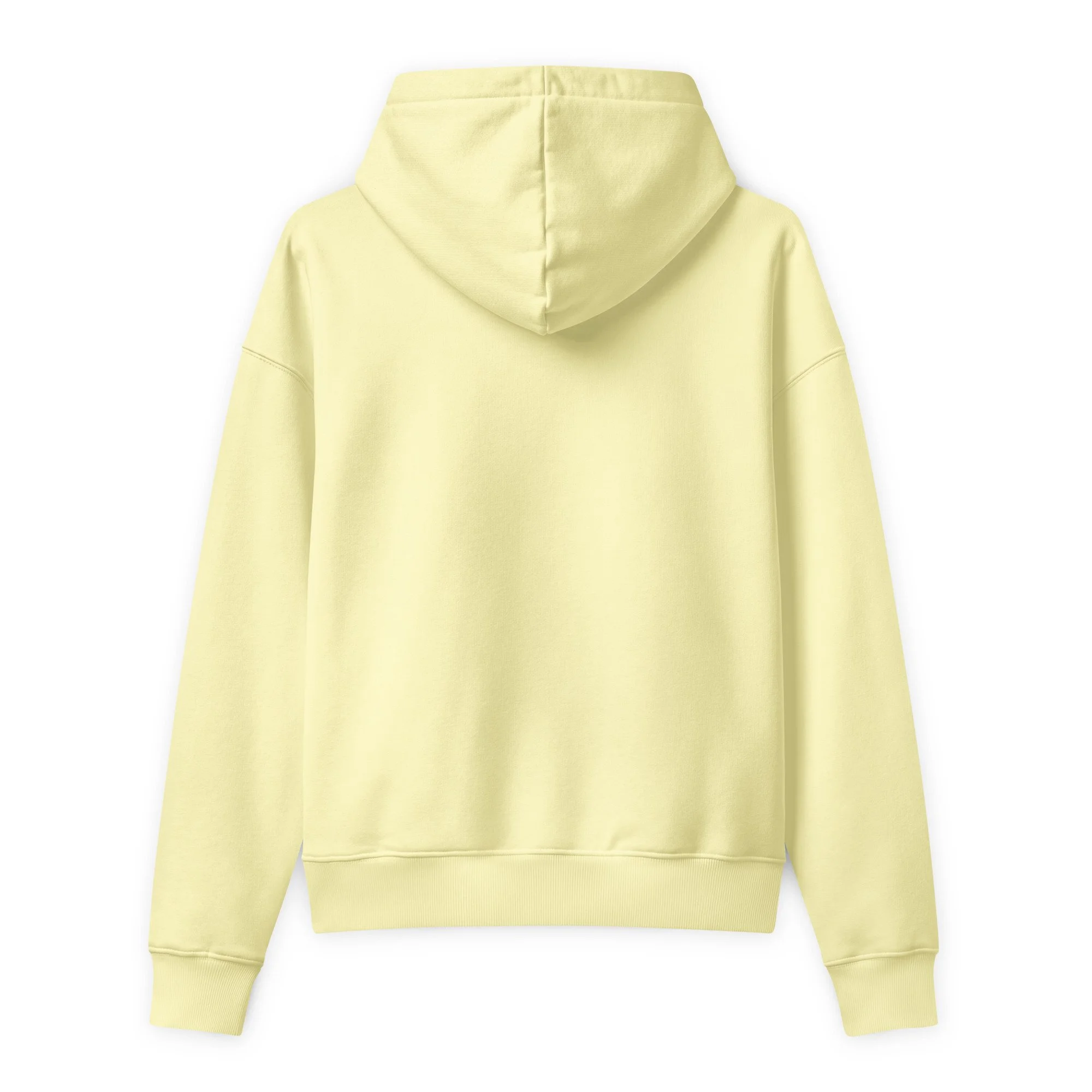 unisex-relaxed-mid-weight-chaser-hooded-sweatshirt-lemon-sorbet-back-6a9c7ba23e4b6.jpg