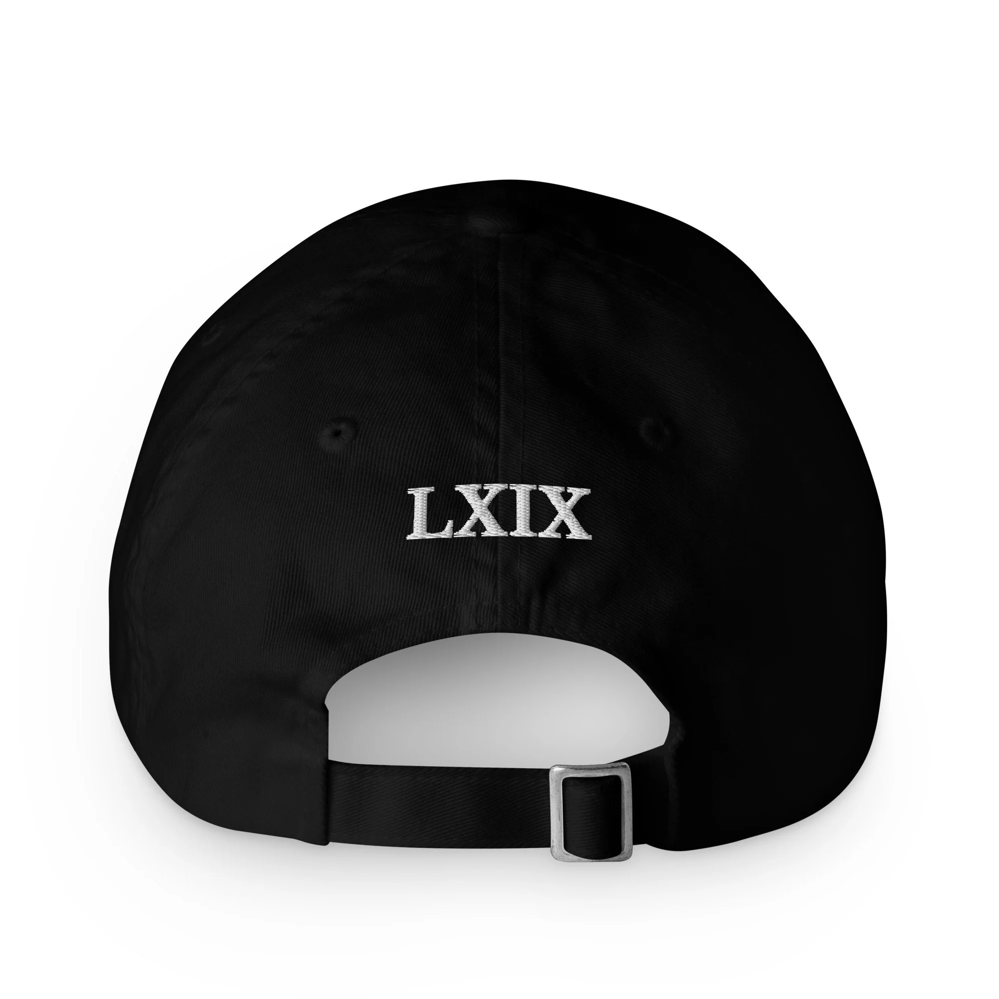 ecowash-dad-hat-black-back-6acfdb23832b7.jpg