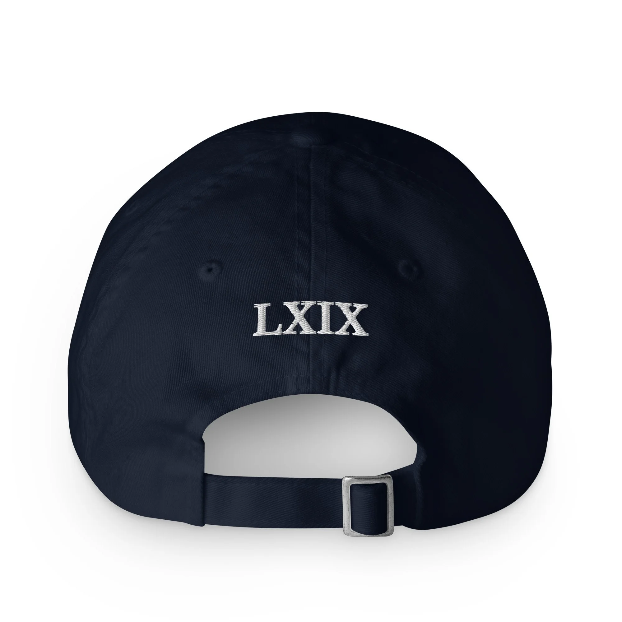 ecowash-dad-hat-navy-back-6acfdb23834b0.jpg