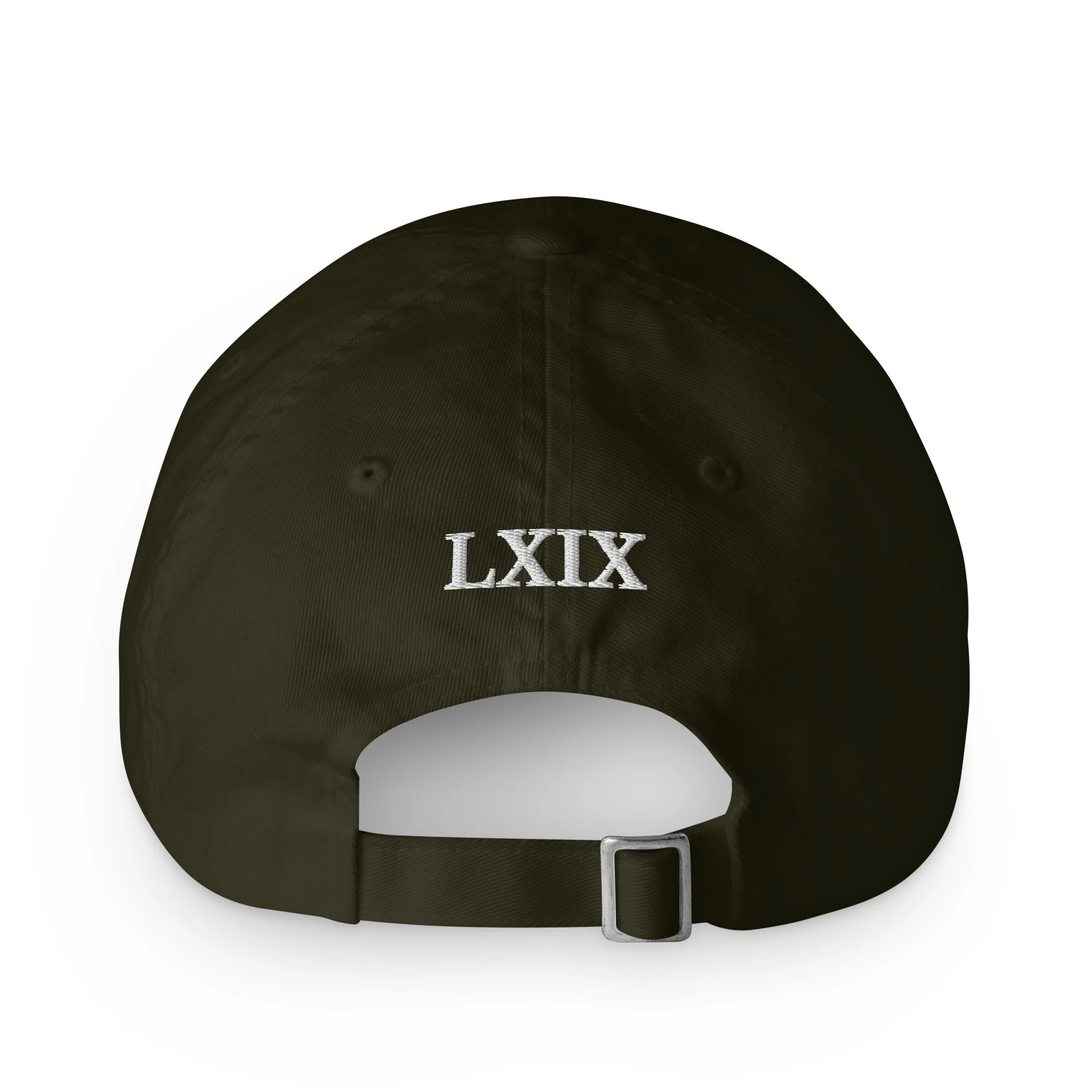 ecowash-dad-hat-olive-night-back-6acfdb238367a.jpg