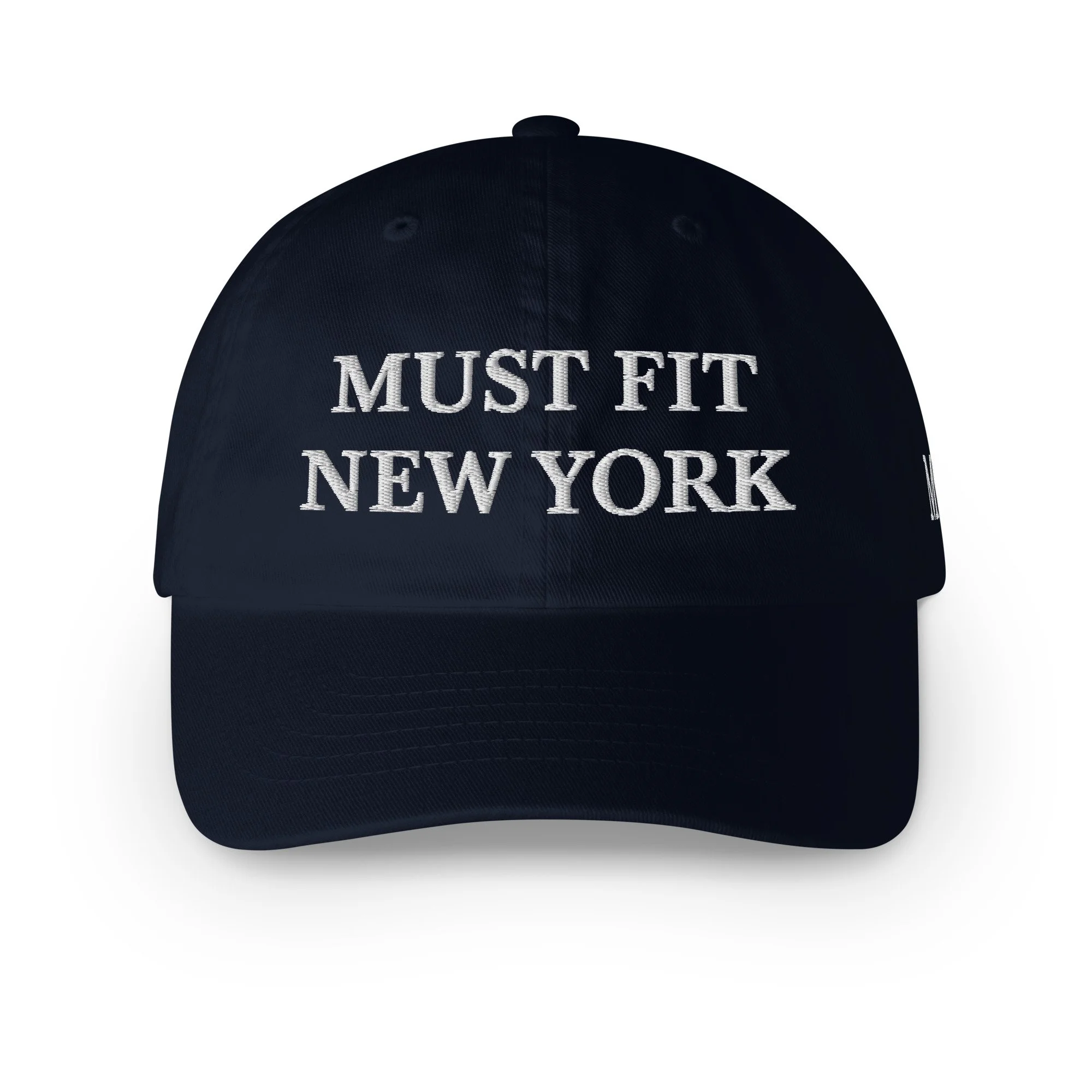 ecowash-dad-hat-navy-front-6acfdb3b1a5fd.jpg